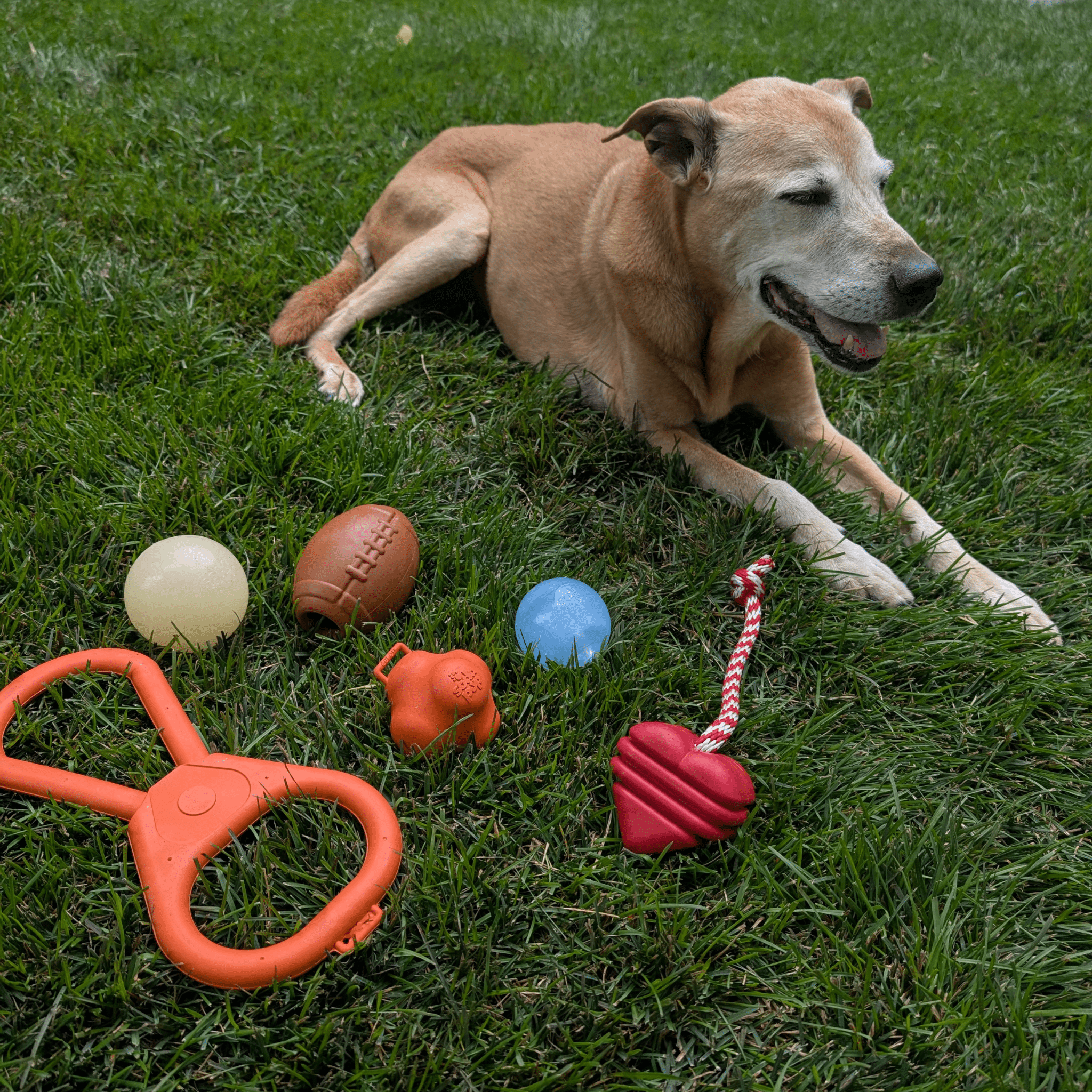 SodaPup® Dog Balls | Durable US-Made Fetch Toys That Float, Glow & Squeak