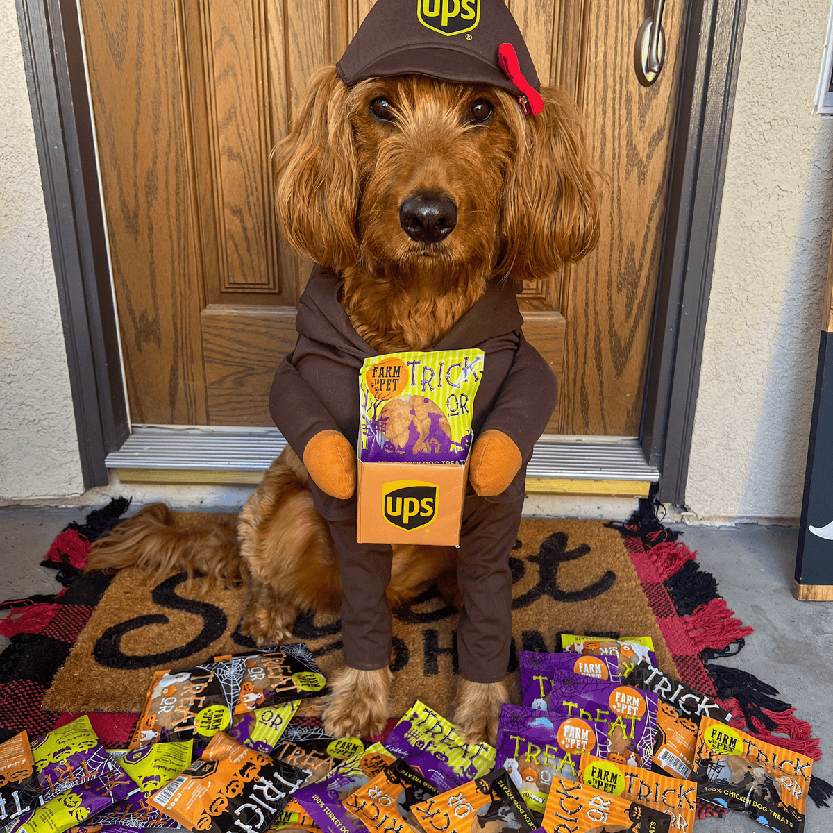 Farm to Pet Halloween Dog Treat Snack Packs – Single Ingredient Variety Pack
