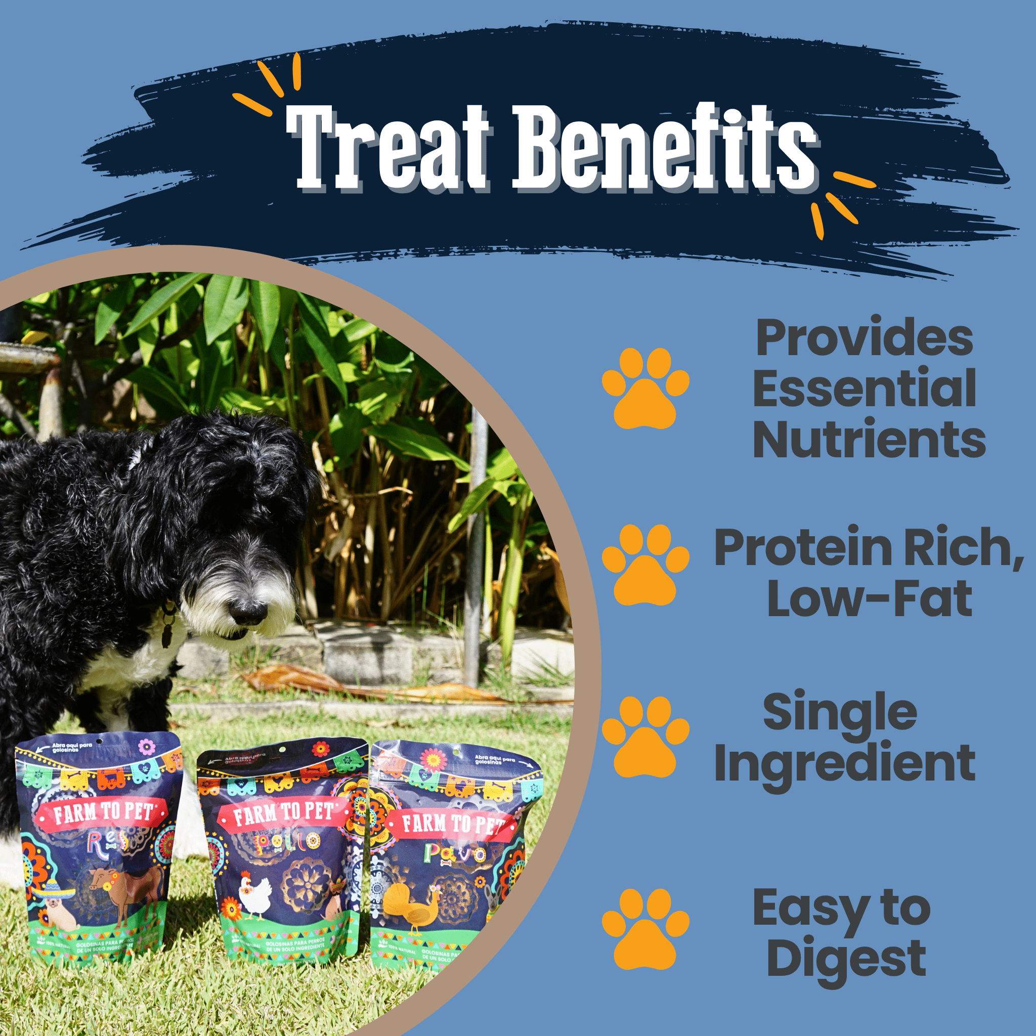 Farm to Pet Fiesta Pack Dog Treats – Single-Ingredient Chicken, Turkey & Beef Chips Variety Pack