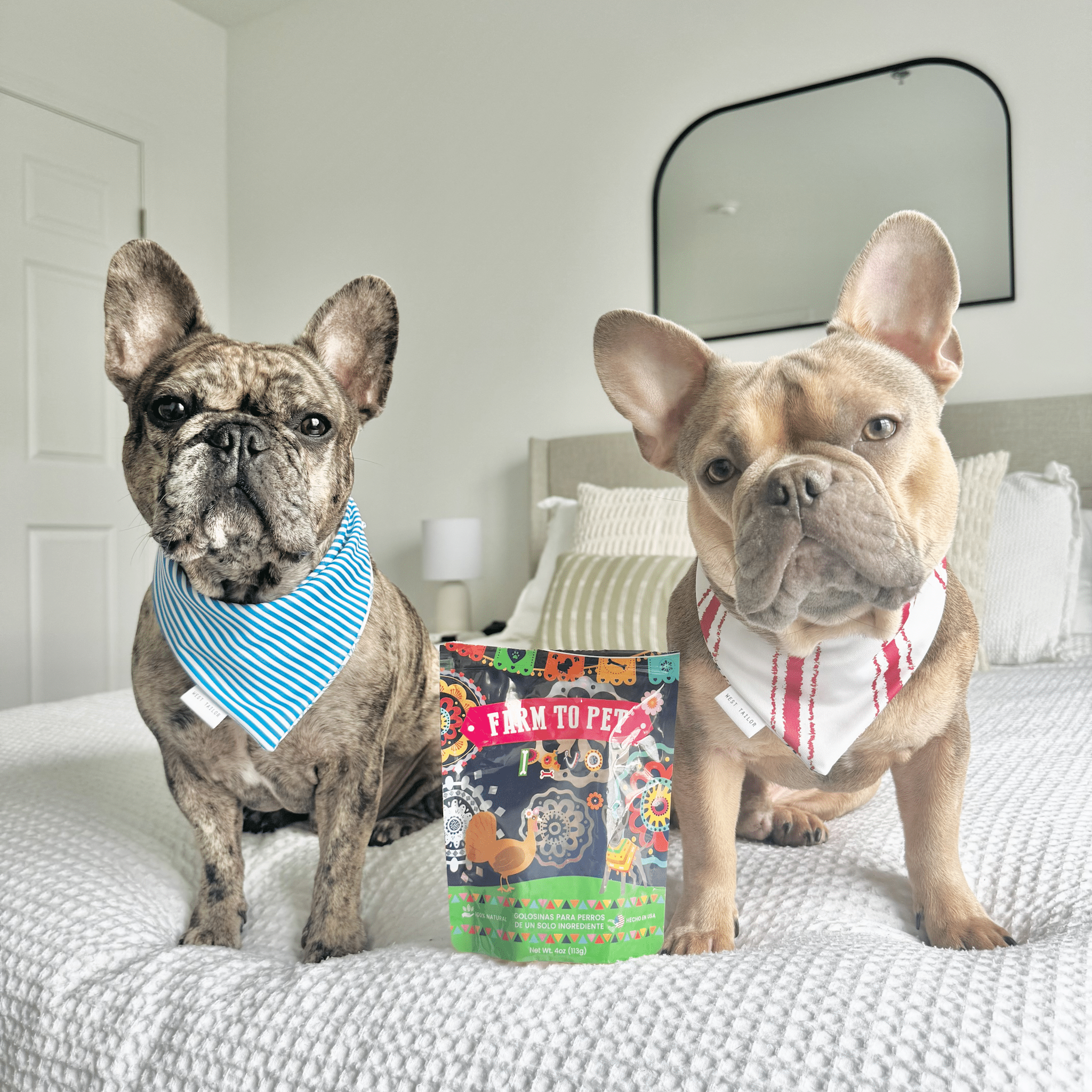 Farm to Pet Fiesta Pack Dog Treats – Single-Ingredient Chicken, Turkey & Beef Chips Variety Pack