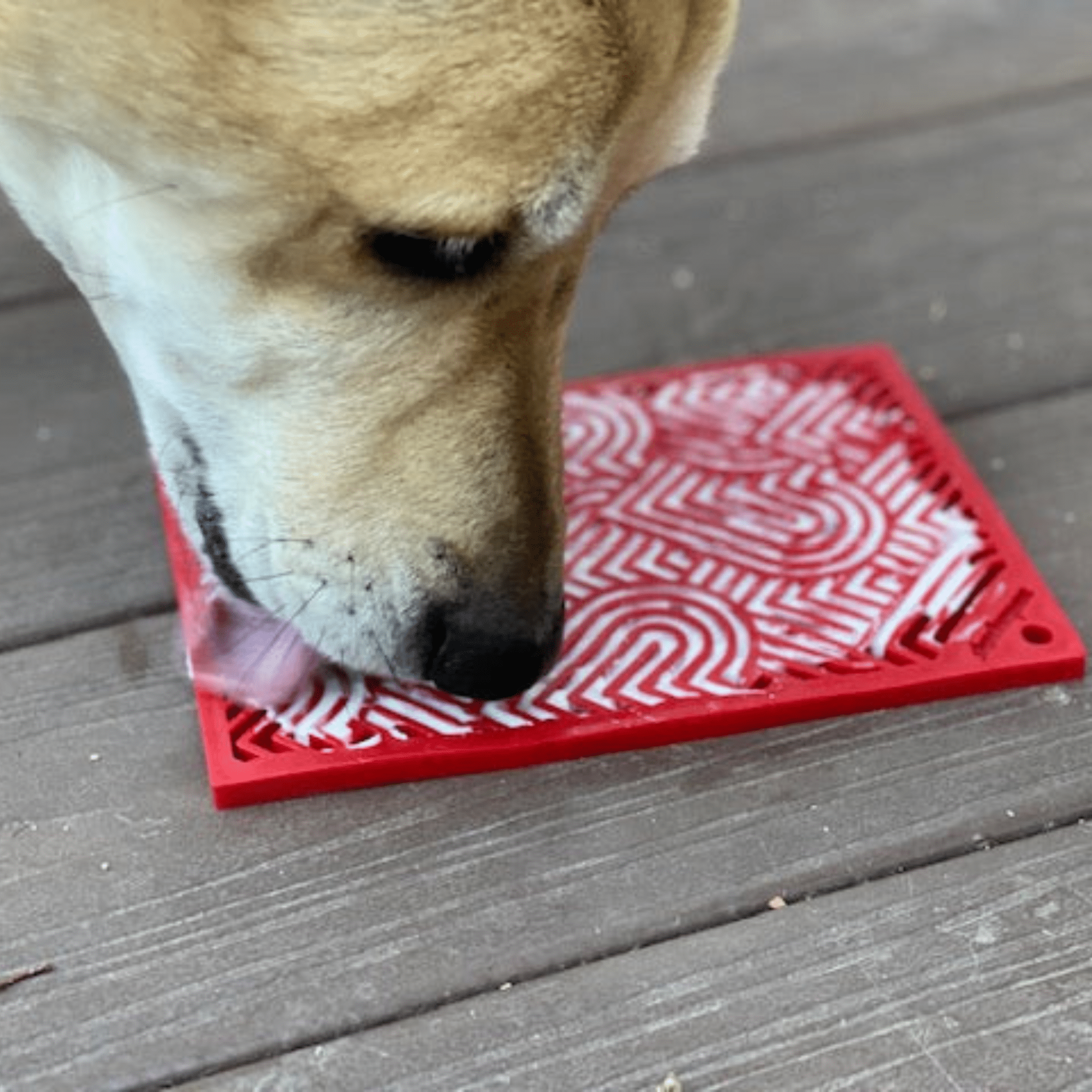 SodaPup Cat Lick Mat – Small Enrichment Licking Mat for Cats & Small Dogs | Made in USA