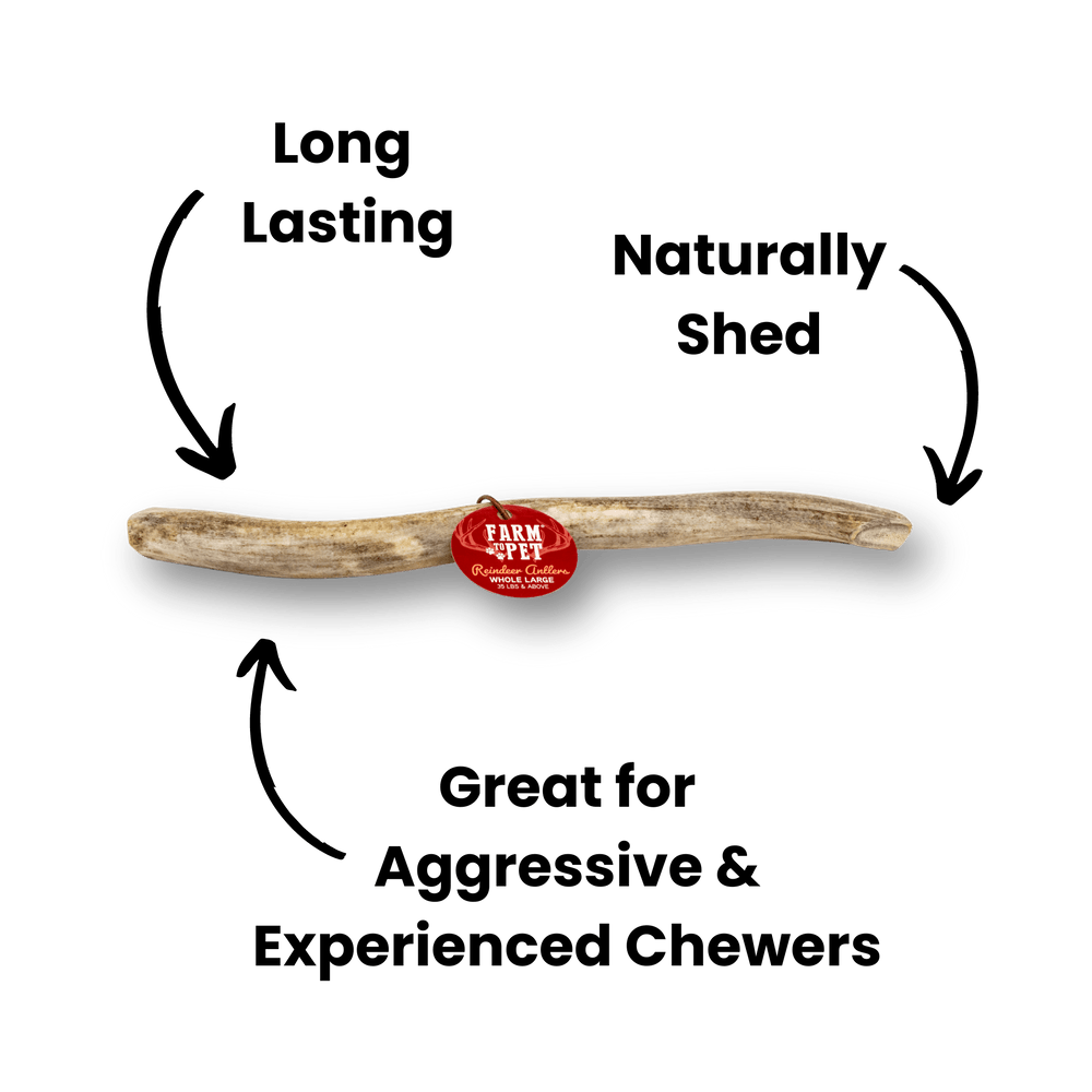 Whole Reindeer Antlers for Dogs – All-Natural, Long-Lasting Chew