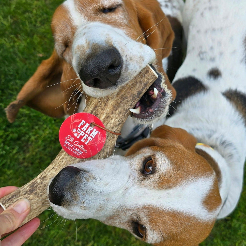 All-Natural Split Elk Antlers for Dogs – Long-Lasting Chew Treat for Dental Health & Aggressive Chewers