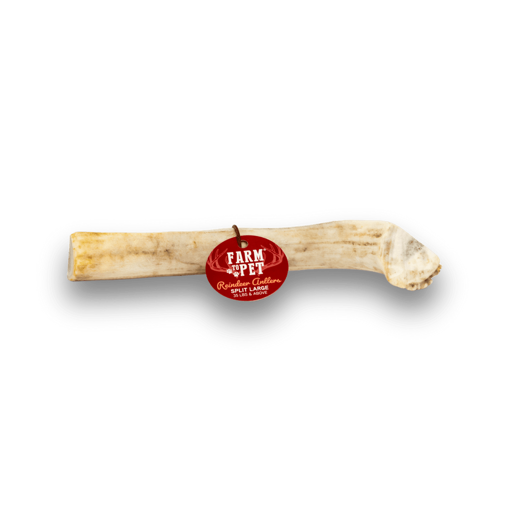 All-Natural Split Reindeer Antlers for Dogs – Long-Lasting Chew for Aggressive Chewers