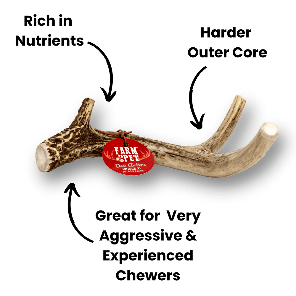 All-Natural Deer Antler Dog Chews