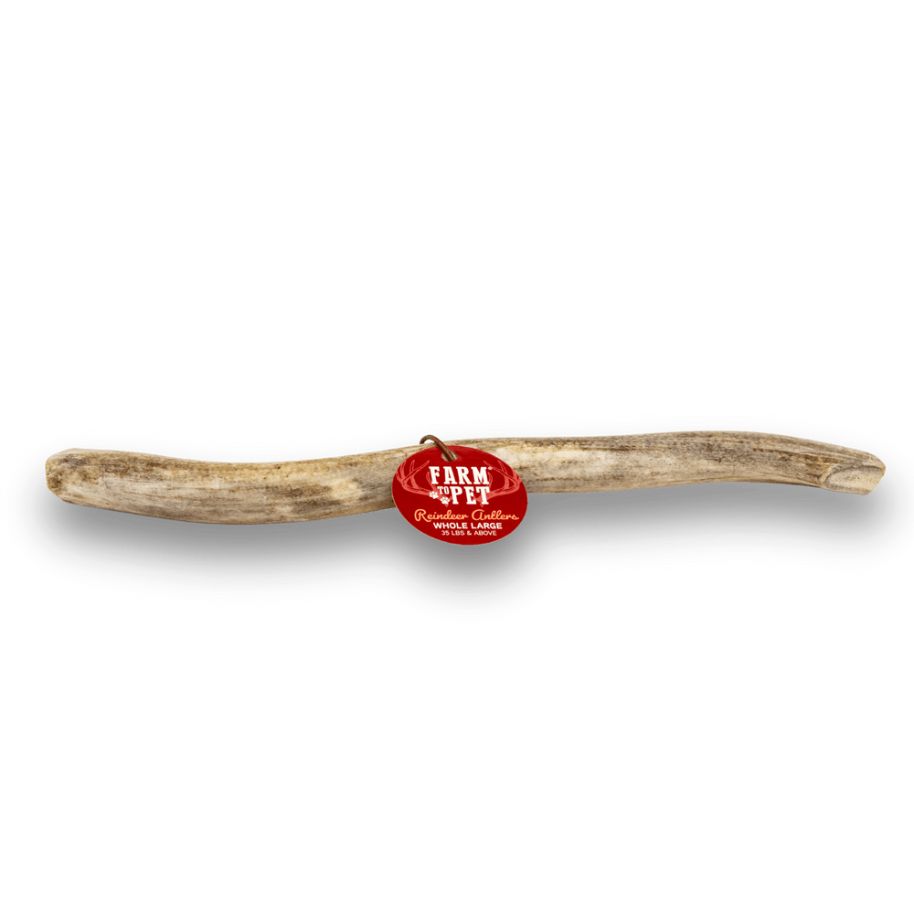Whole Reindeer Antlers for Dogs – All-Natural, Long-Lasting Chew
