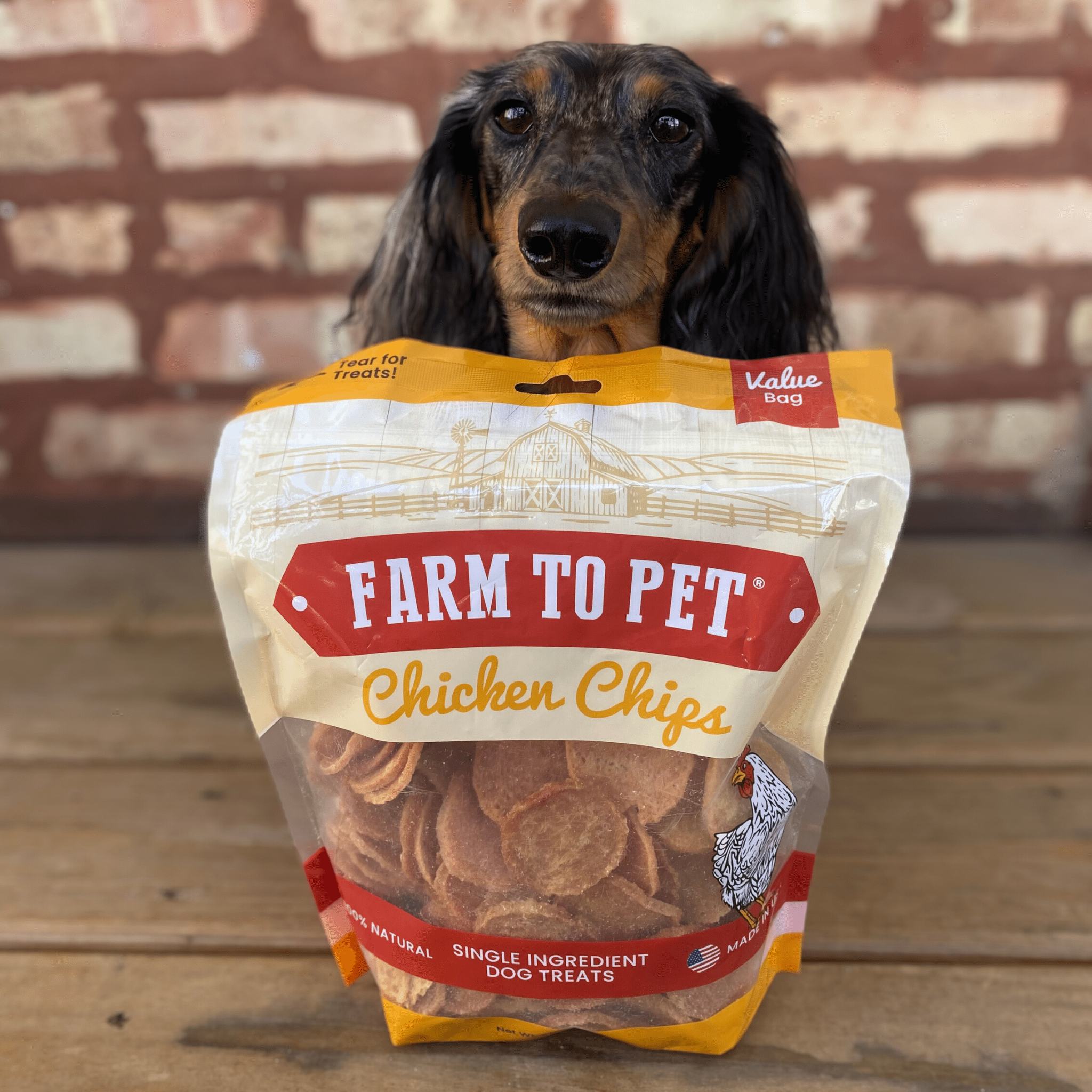 All-Natural Chicken Chips for Dogs – High-Protein Dog Treats