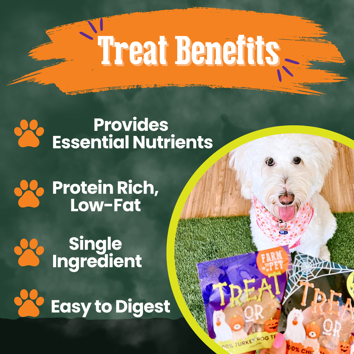 Farm to Pet Halloween Dog Treat Snack Packs – Single Ingredient Variety Pack