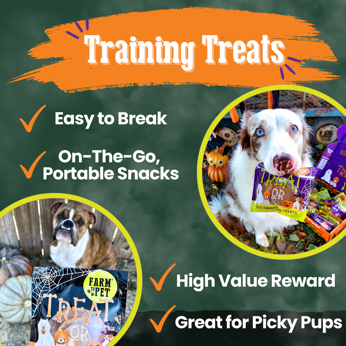 Farm to Pet Halloween Dog Treat Snack Packs – Single Ingredient Variety Pack