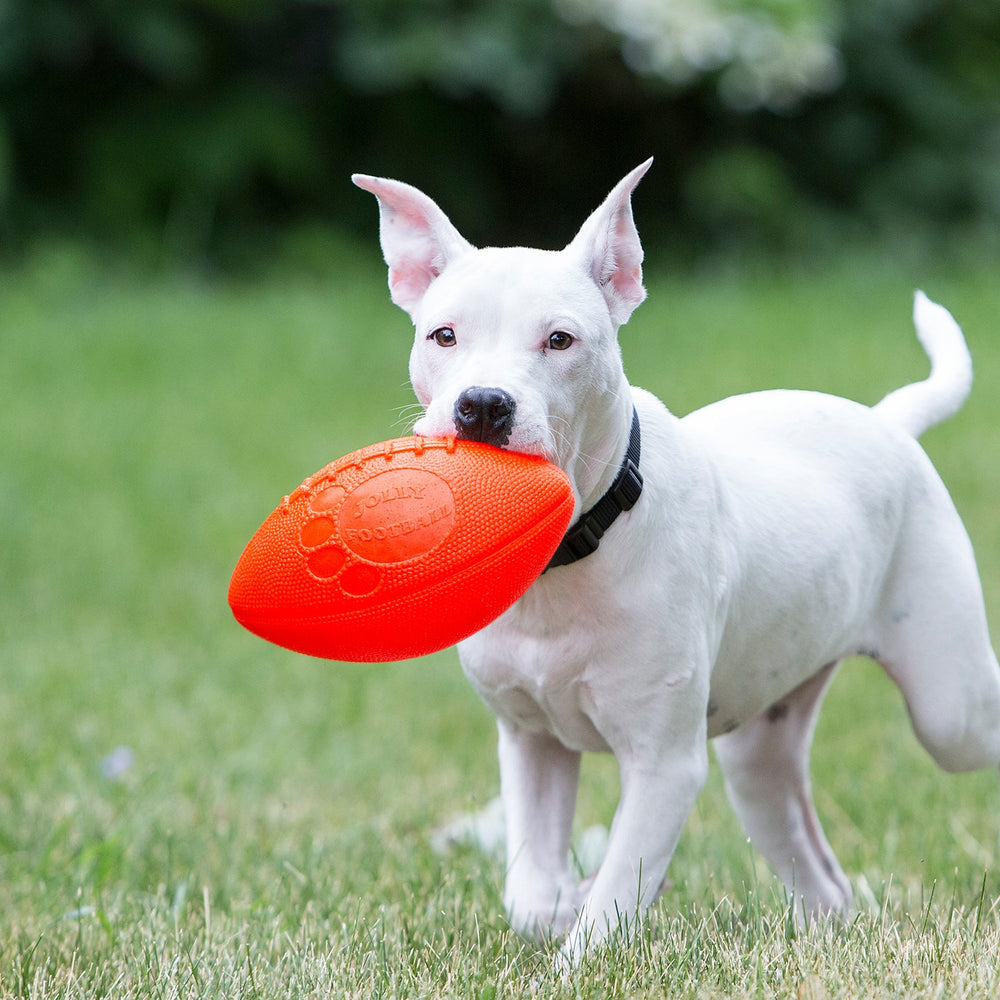 Jolly Pets Jolly Football – Durable Scented Dog Toy for Fetch, Chase & Water Play