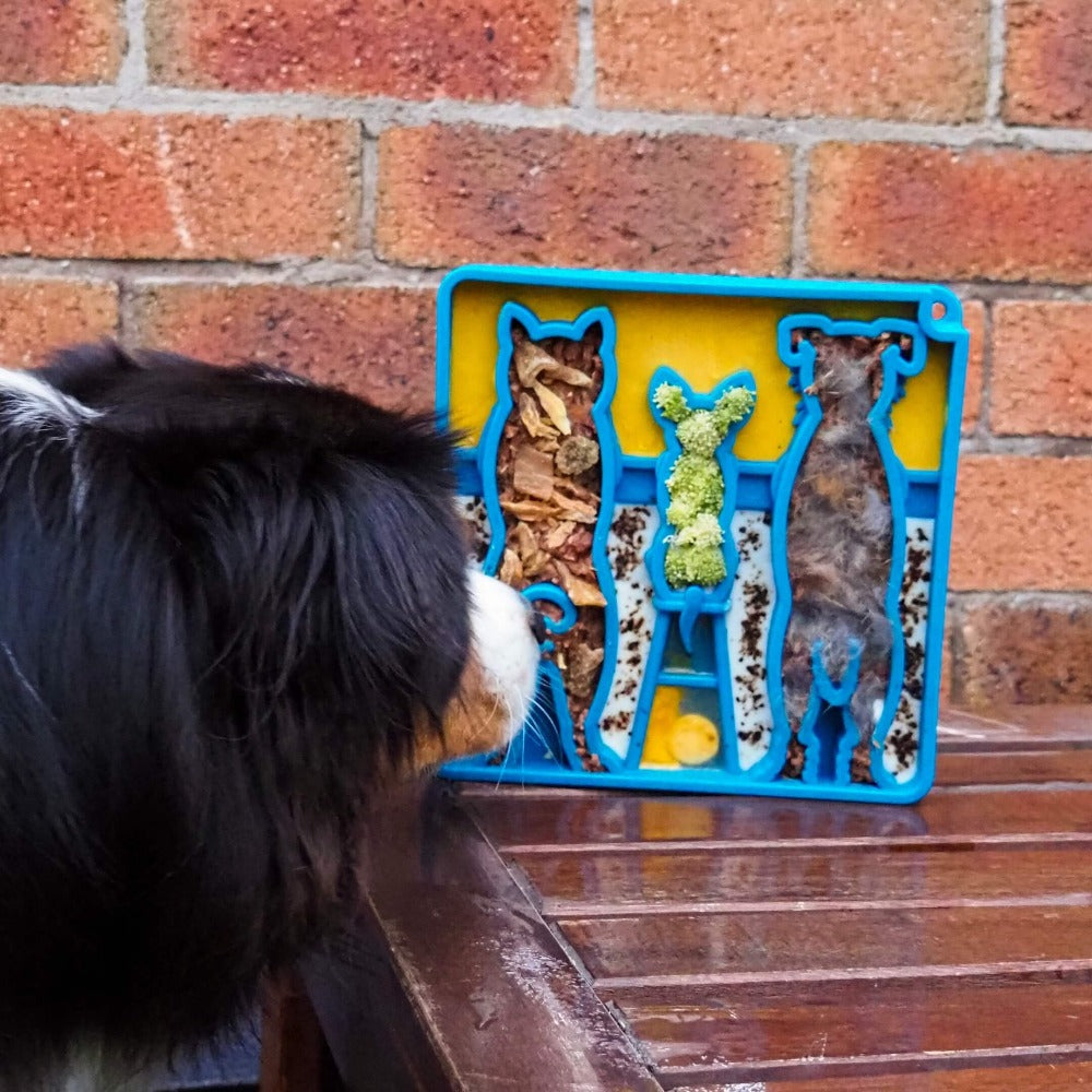 SodaPup Waiting Dogs eTray Slow Feeder – Enrichment Lick Mat & Puzzle Feeding Tray for Dogs