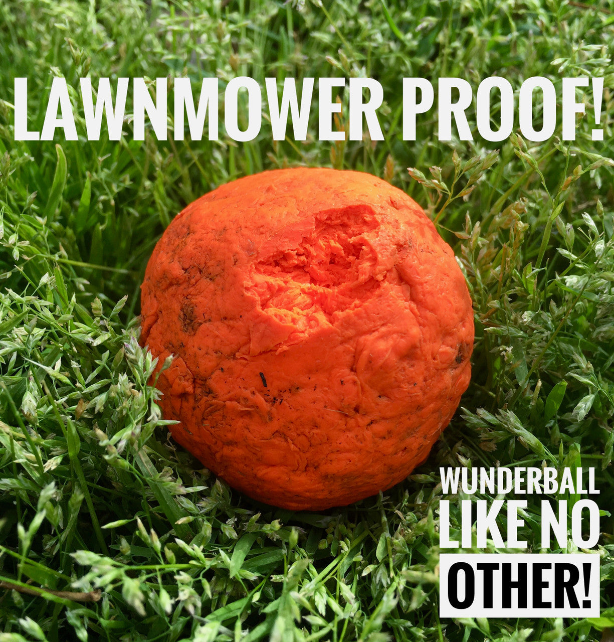 WUNDERball Natural Rubber Dog Ball – Durable Fetch Toy for Aggressive Chewers & Water Play