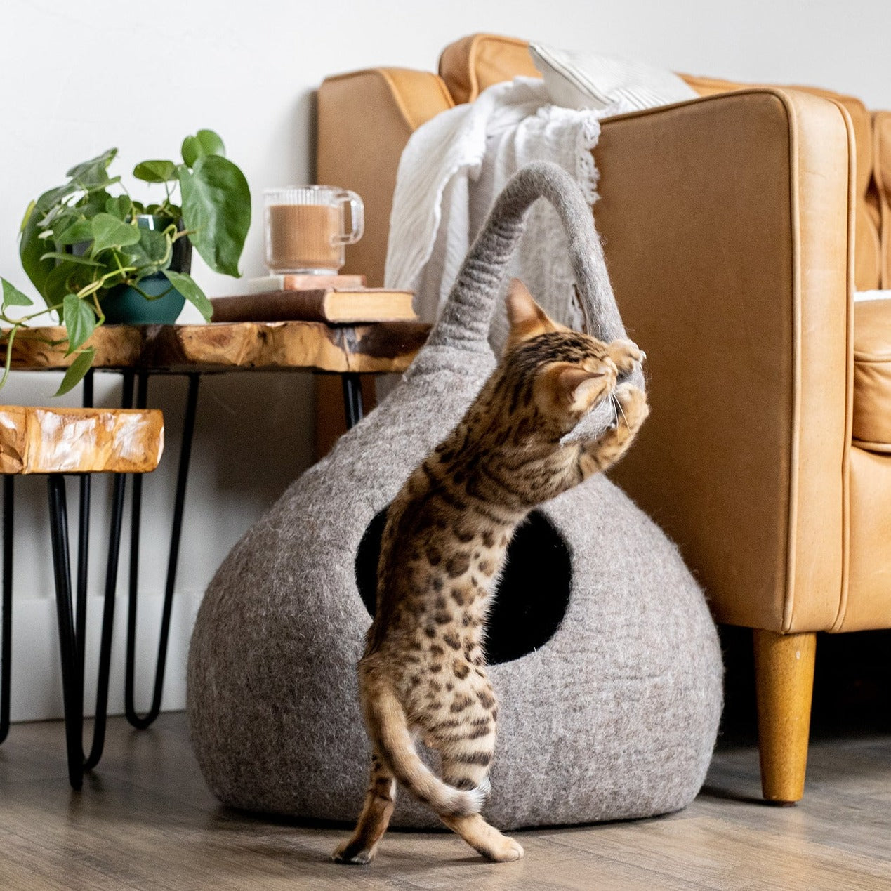 Earth Brown Tail-Styled Cat Cave | Vibrant Pet Retreat