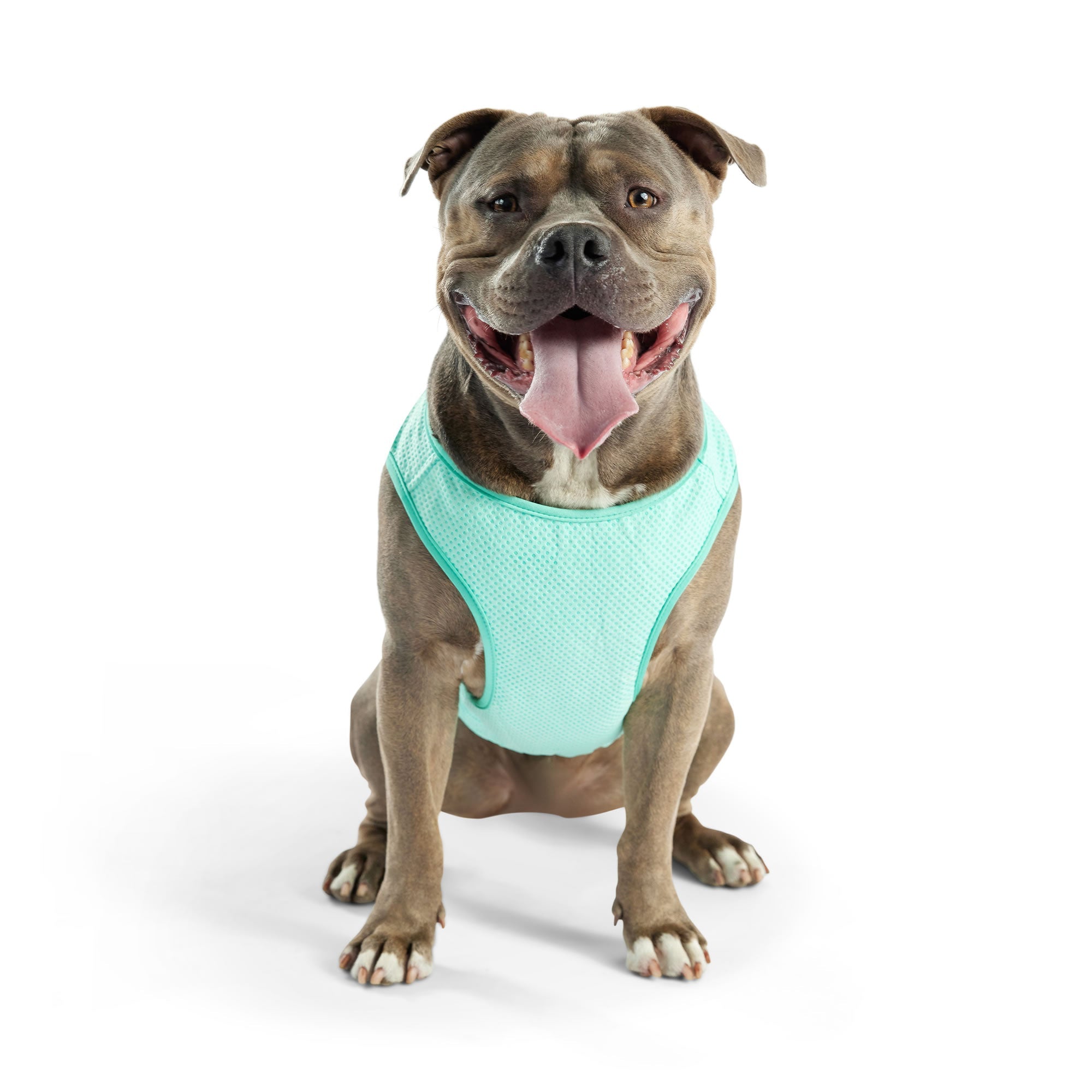 GF PET® Elasto-Fit® ICE-VEST® Aqua– Dog Cooling Vest with COOLFRESH™ Tech