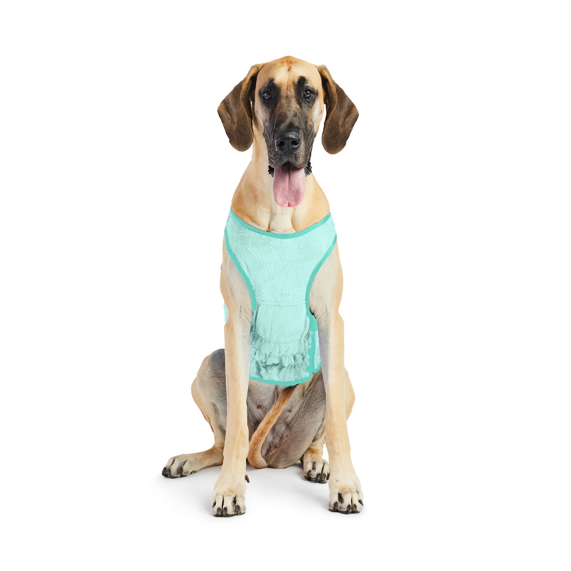 GF PET® Elasto-Fit® ICE-VEST® Aqua– Dog Cooling Vest with COOLFRESH™ Tech