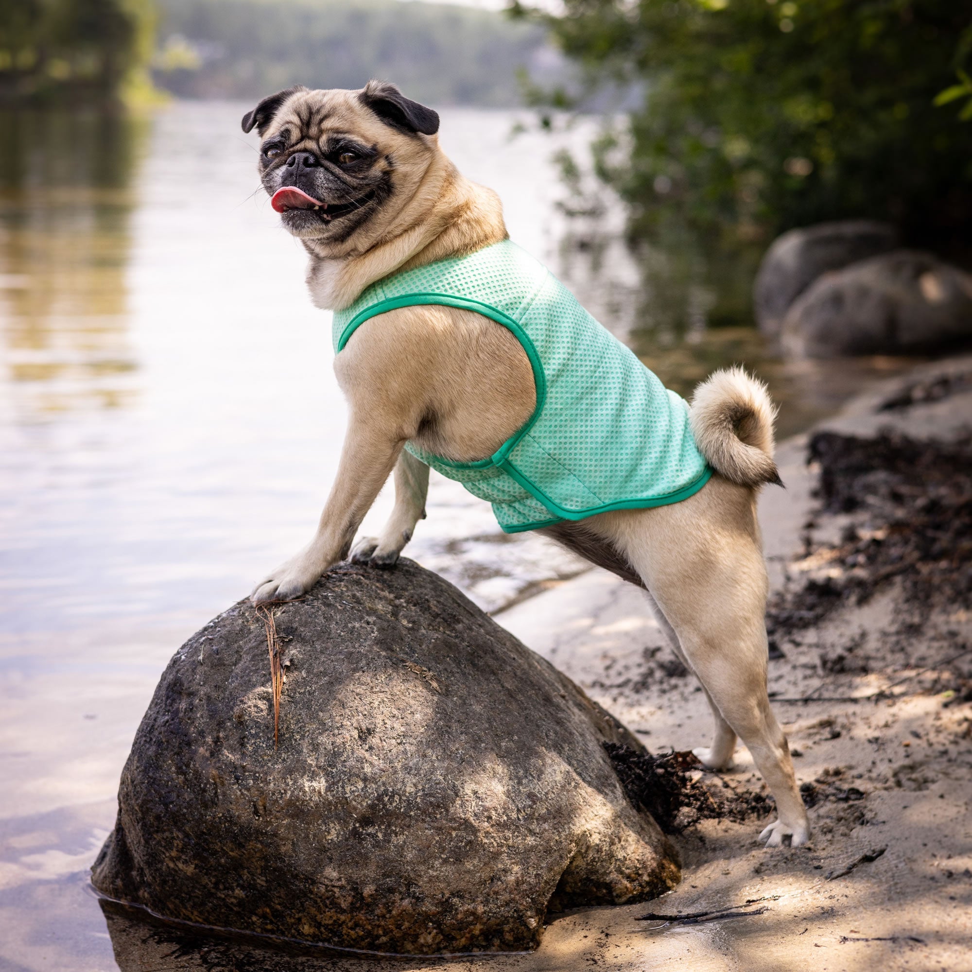 GF PET® Elasto-Fit® ICE-VEST® Aqua– Dog Cooling Vest with COOLFRESH™ Tech