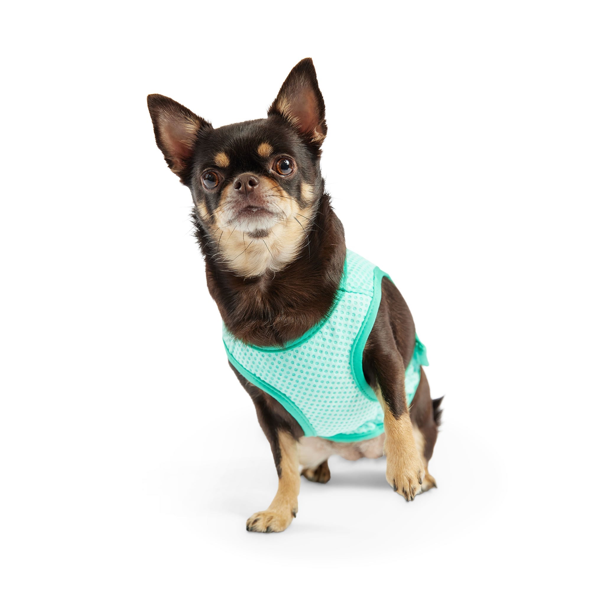 GF PET® Elasto-Fit® ICE-VEST® Aqua– Dog Cooling Vest with COOLFRESH™ Tech