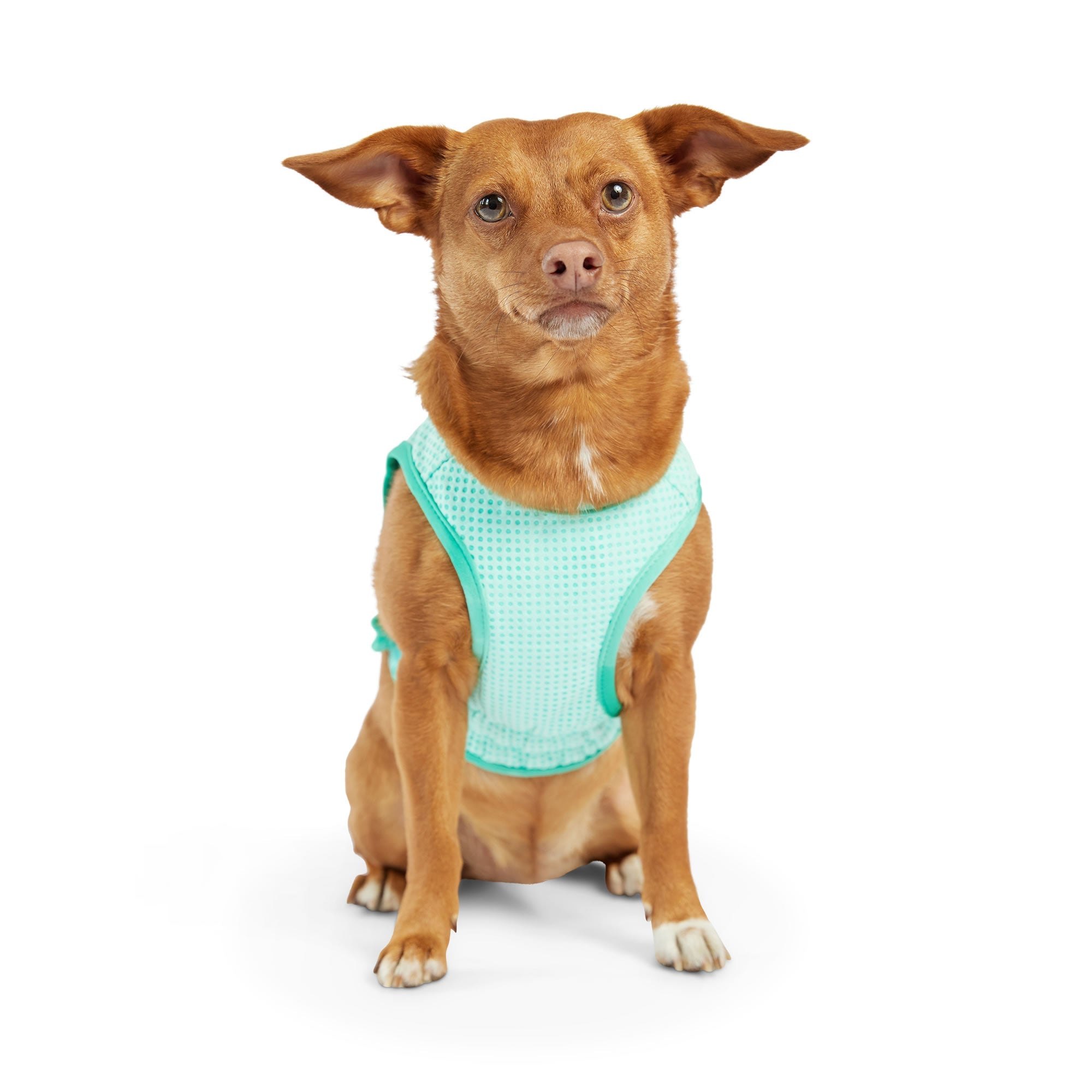 GF PET® Elasto-Fit® ICE-VEST® Aqua– Dog Cooling Vest with COOLFRESH™ Tech