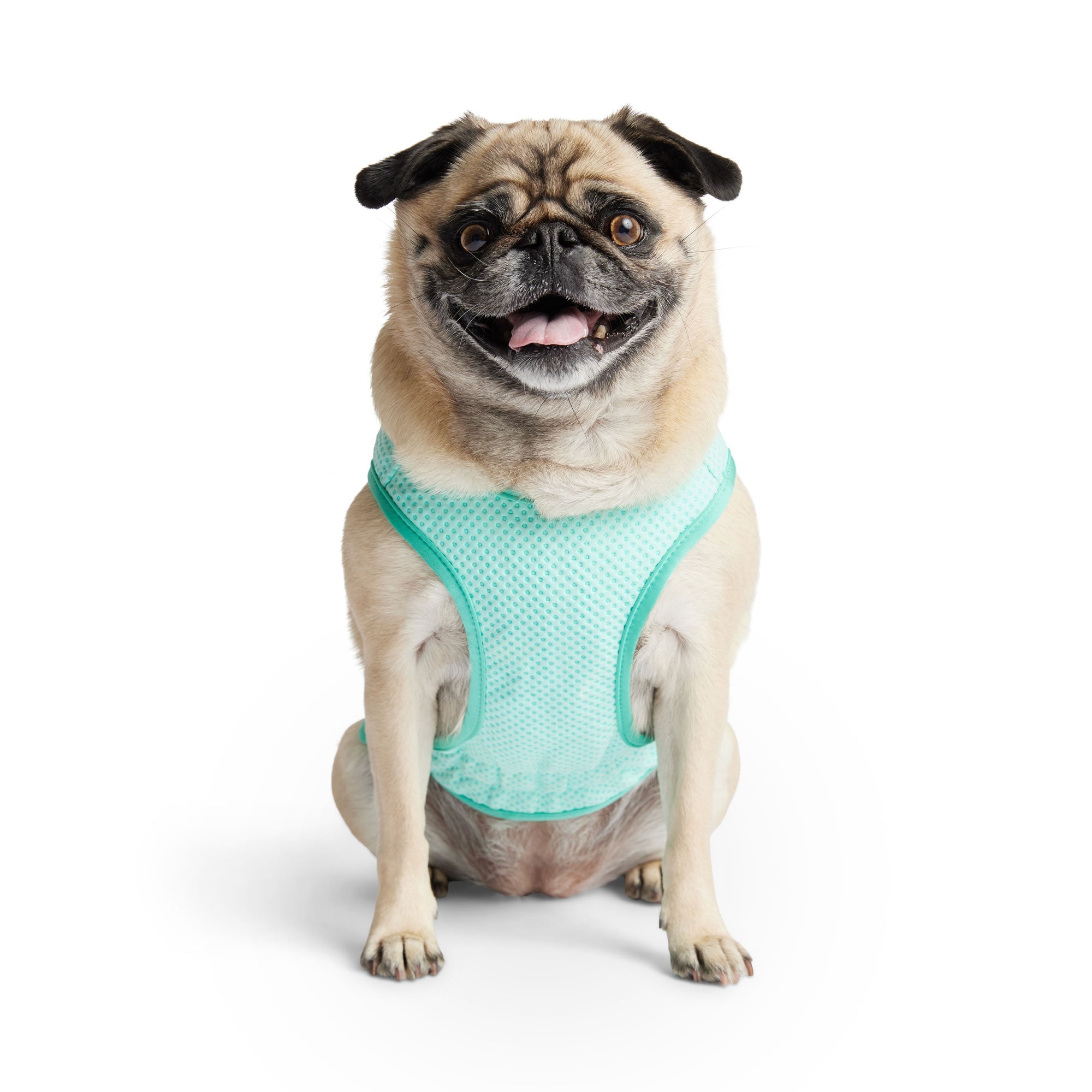 GF PET® Elasto-Fit® ICE-VEST® Aqua– Dog Cooling Vest with COOLFRESH™ Tech