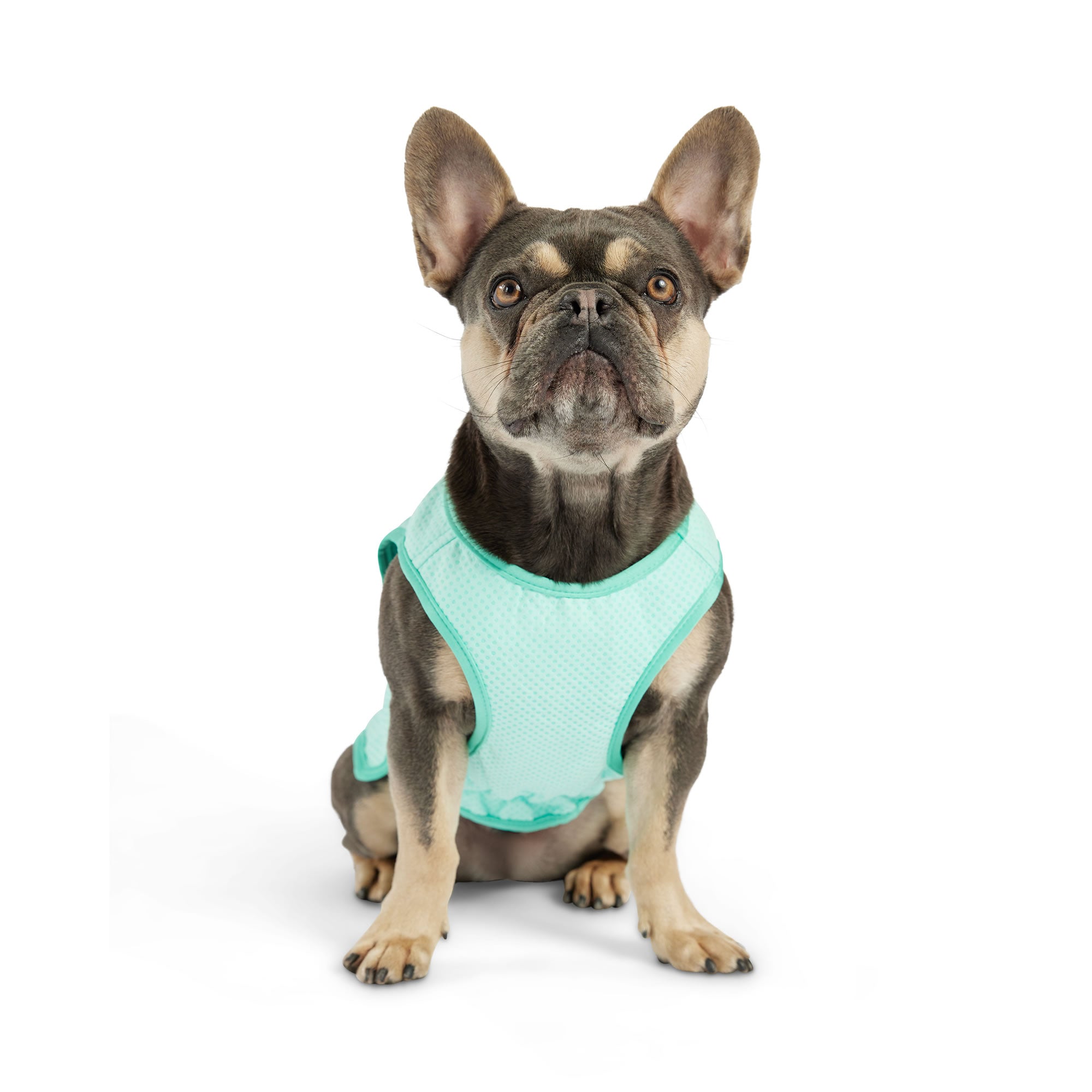 GF PET® Elasto-Fit® ICE-VEST® Aqua– Dog Cooling Vest with COOLFRESH™ Tech