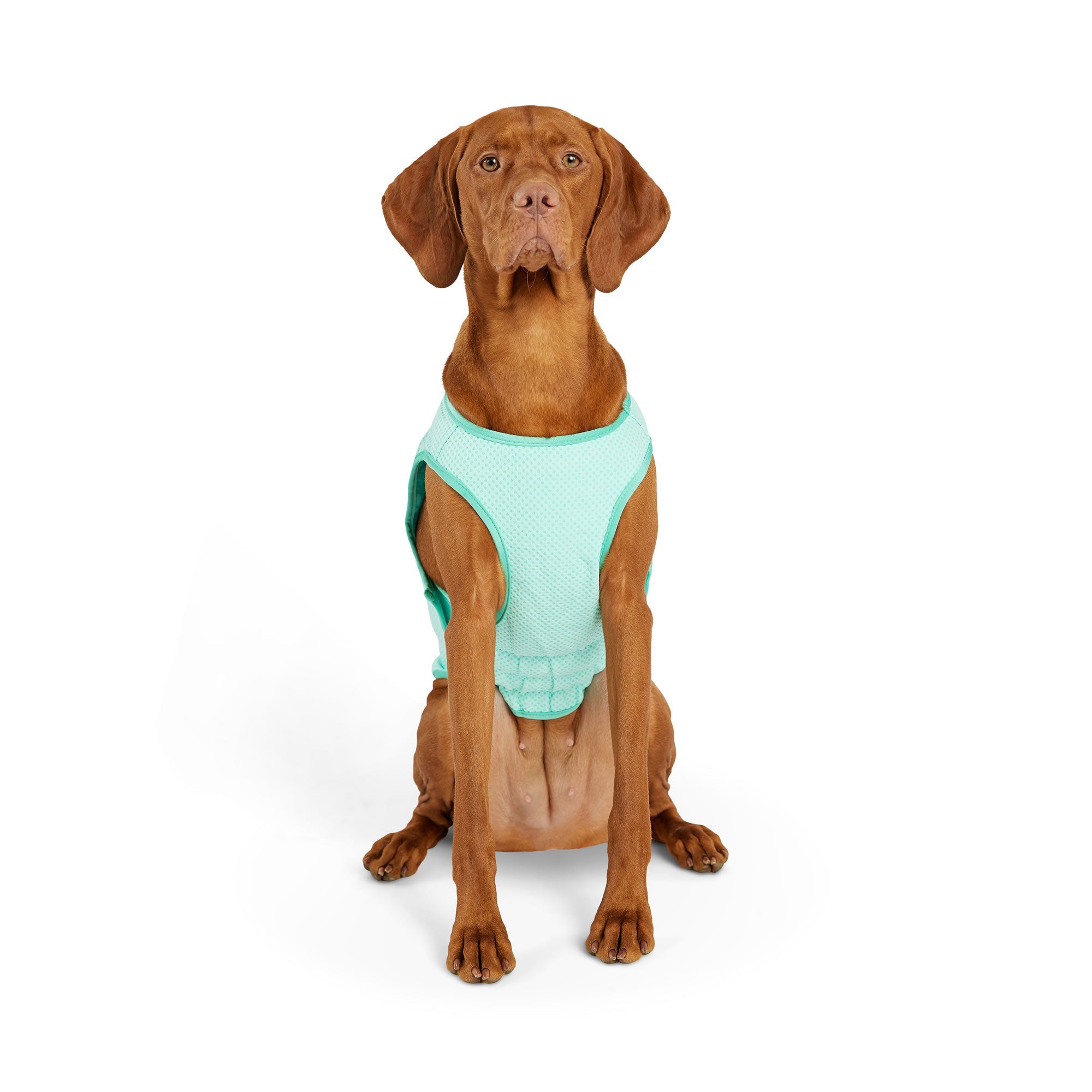 GF PET® Elasto-Fit® ICE-VEST® Aqua– Dog Cooling Vest with COOLFRESH™ Tech