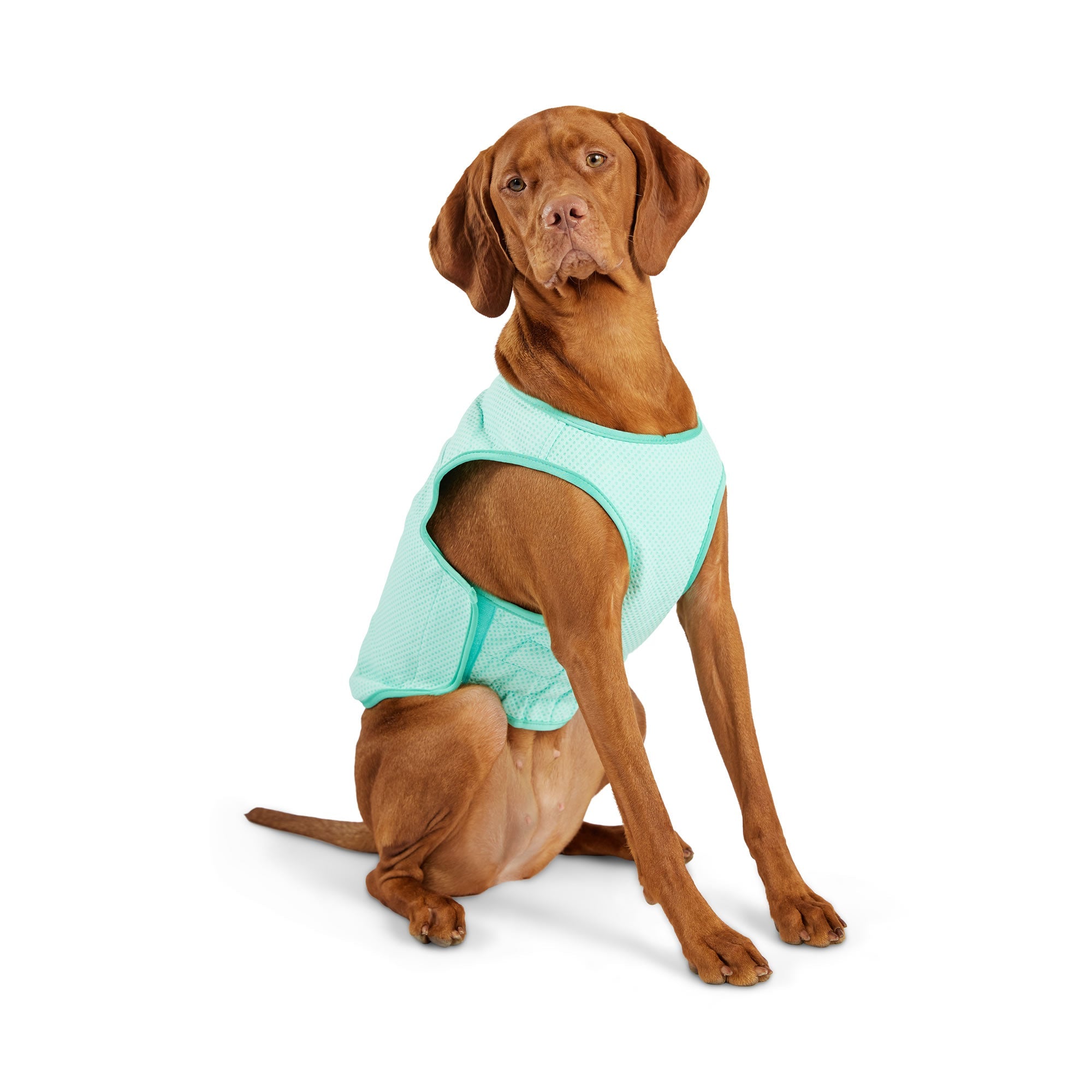 GF PET® Elasto-Fit® ICE-VEST® Aqua– Dog Cooling Vest with COOLFRESH™ Tech