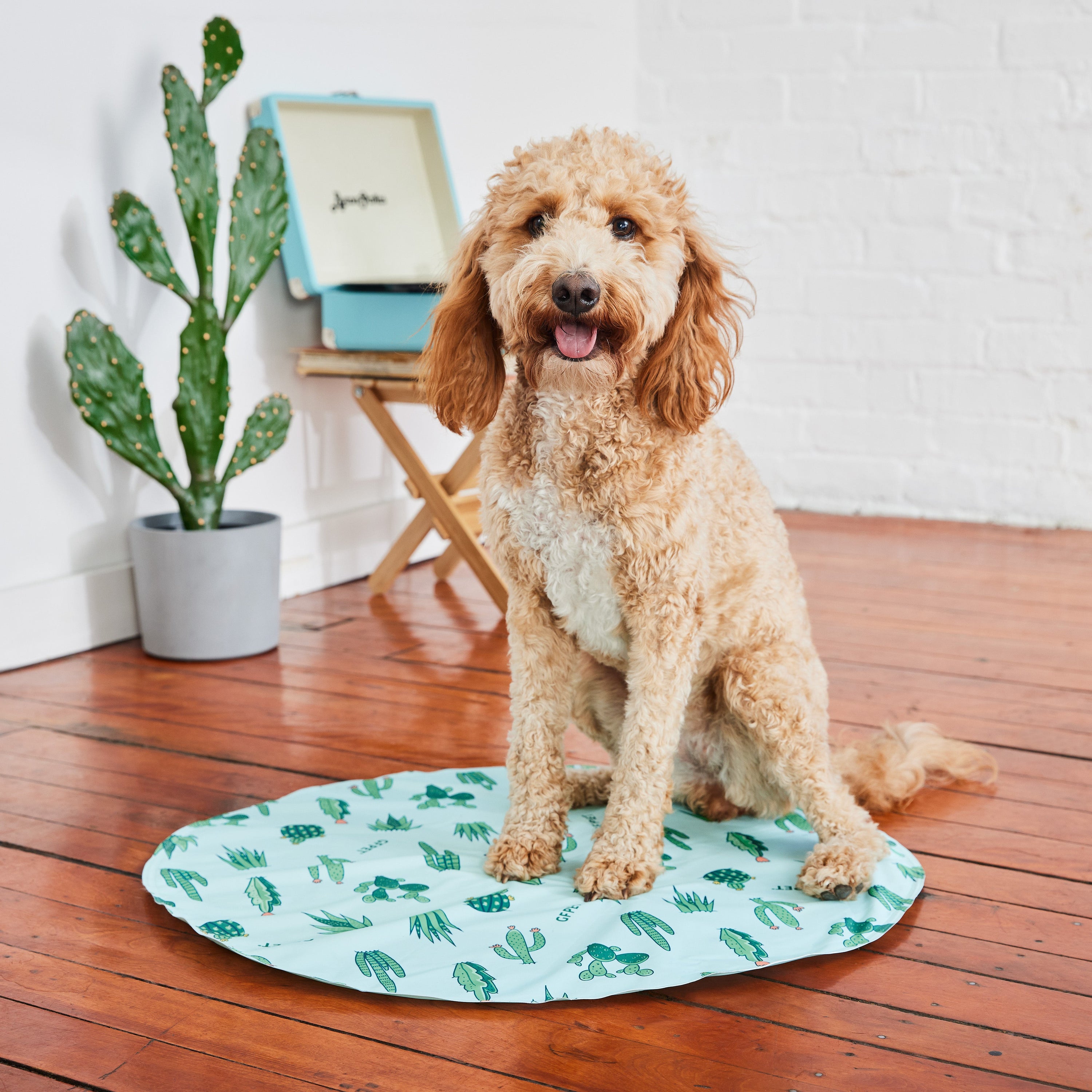 GF Pet ICE MAT® Self-Cooling Dog Mat – Cooling Pad for Dogs, Puppies & Senior Pets