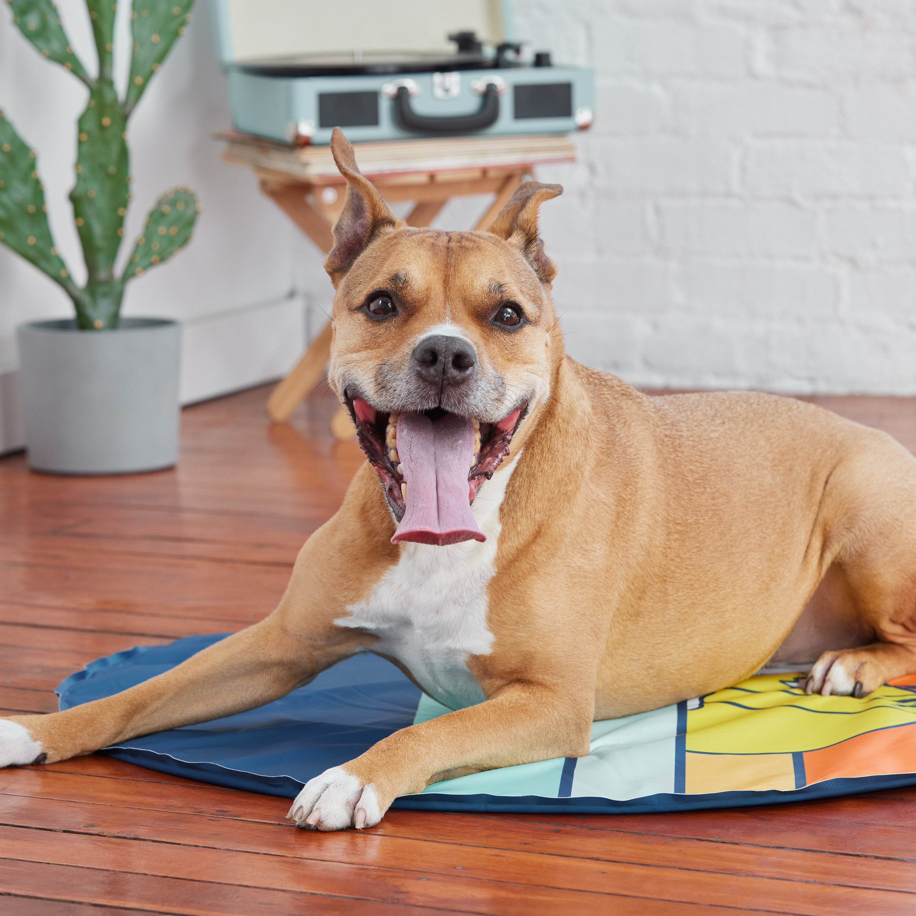 GF Pet ICE MAT® Self-Cooling Dog Mat – Cooling Pad for Dogs, Puppies & Senior Pets