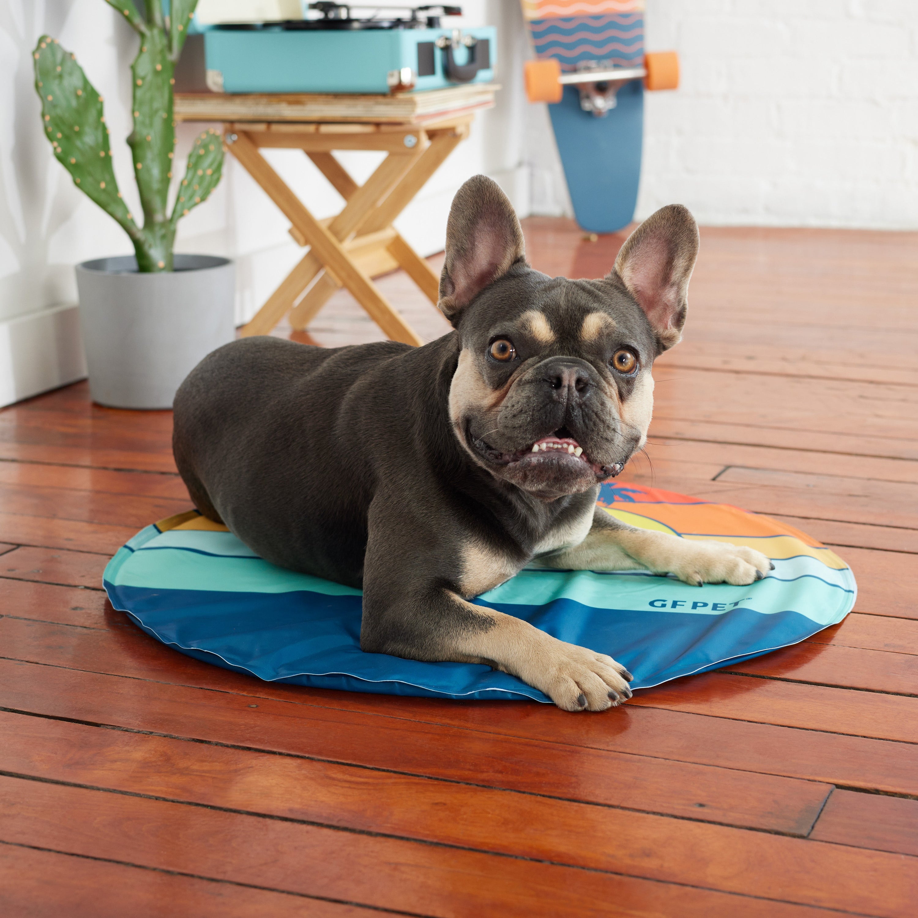 GF Pet ICE MAT® Self-Cooling Dog Mat – Cooling Pad for Dogs, Puppies & Senior Pets