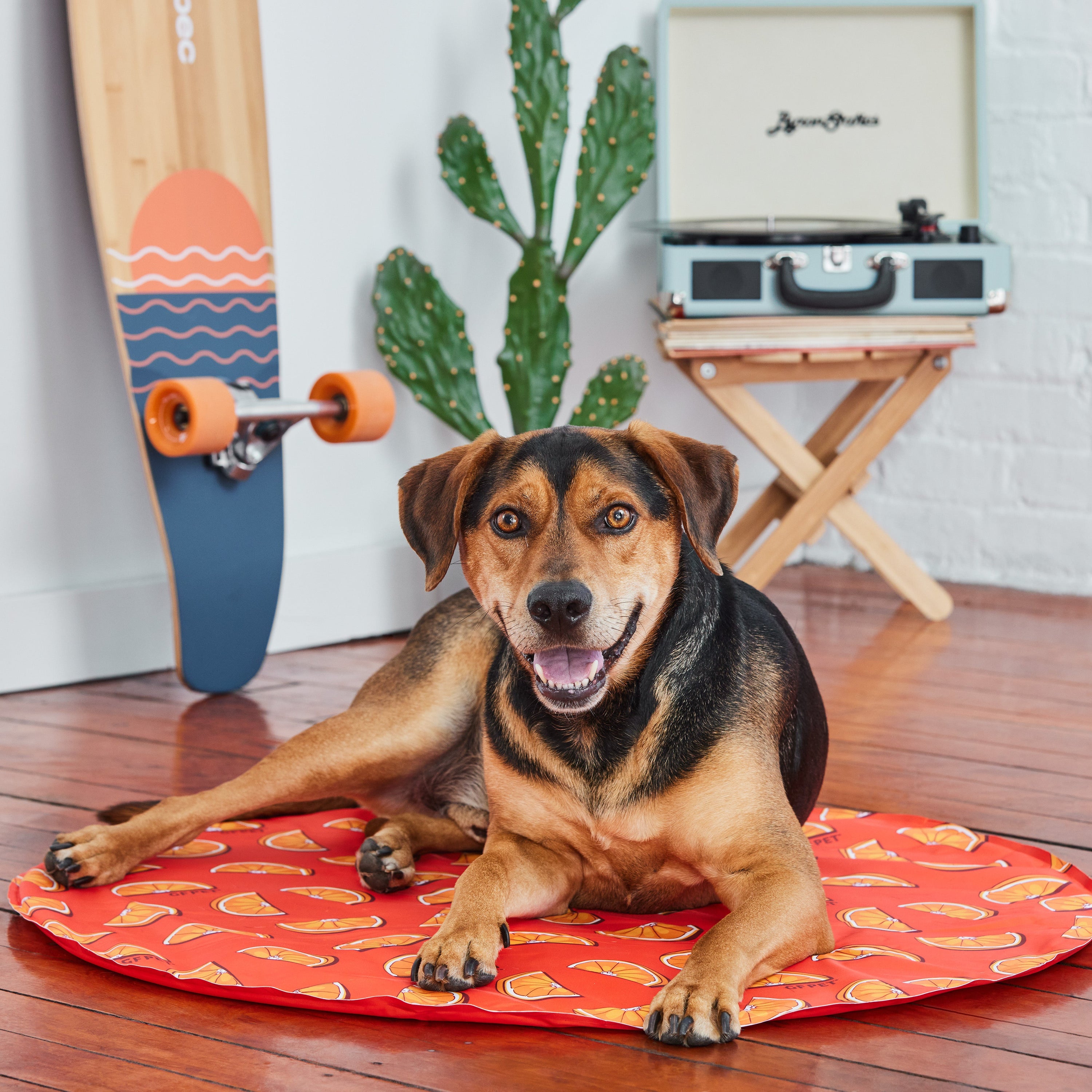 GF Pet ICE MAT® Self-Cooling Dog Mat – Cooling Pad for Dogs, Puppies & Senior Pets
