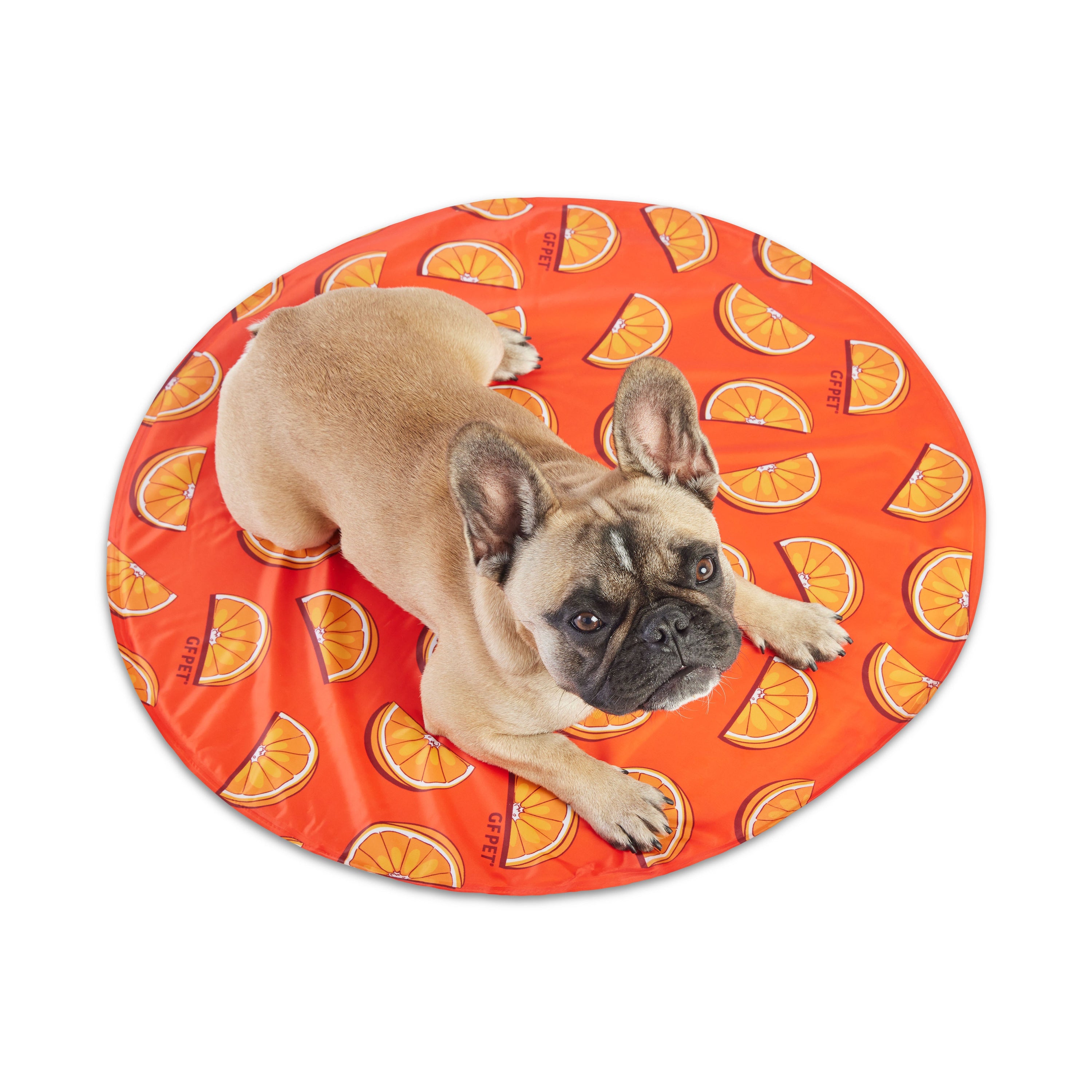 GF Pet ICE MAT® Self-Cooling Dog Mat – Cooling Pad for Dogs, Puppies & Senior Pets