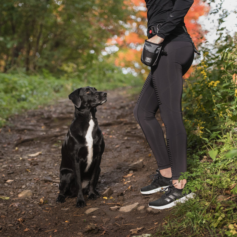 GF PET® Reflective Dog Treat Bag for Training & Travel