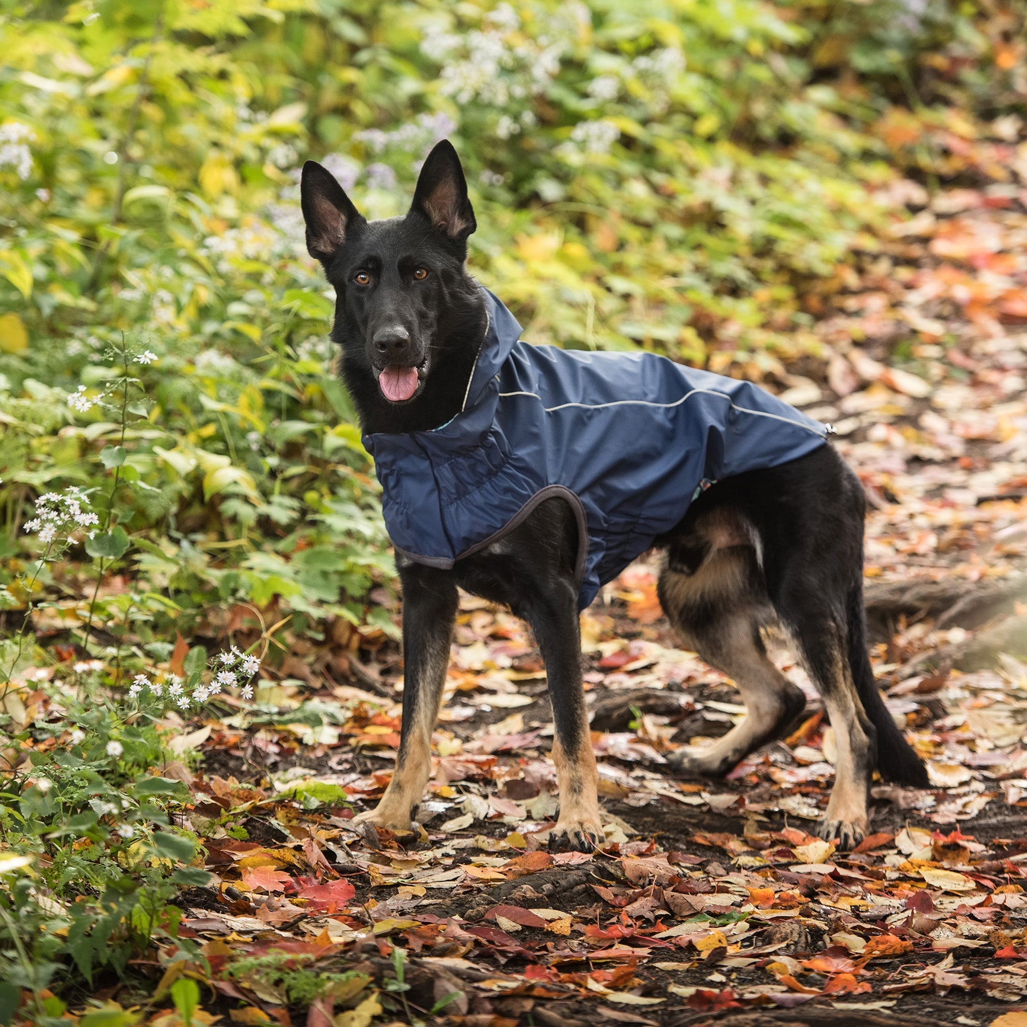 GF PET® Elasto-FIT® Reversible Navy Dog Raincoat – Waterproof & Adjustable Fit