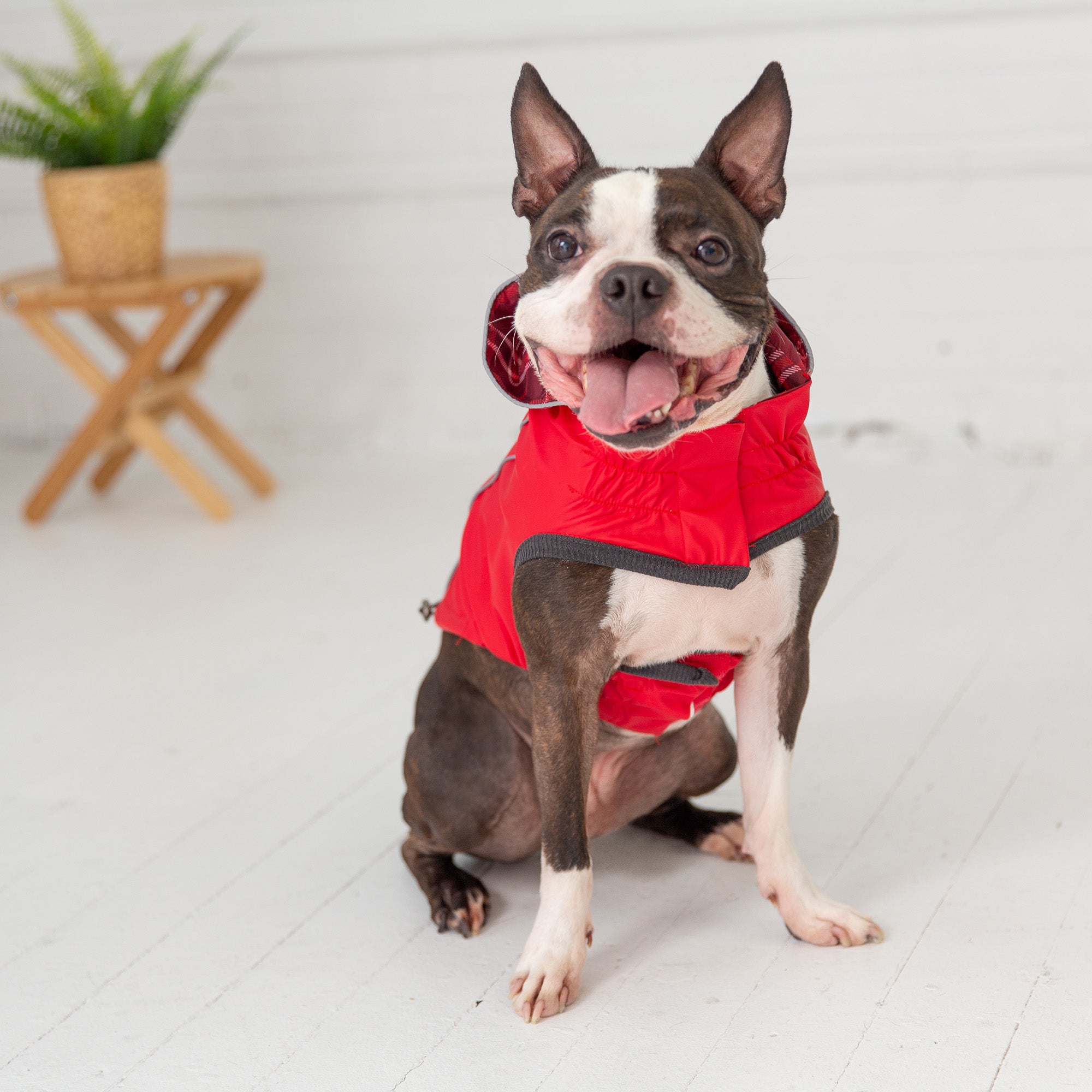 GF PET® Elasto-FIT® Reversible Waterproof Dog Raincoat – Red