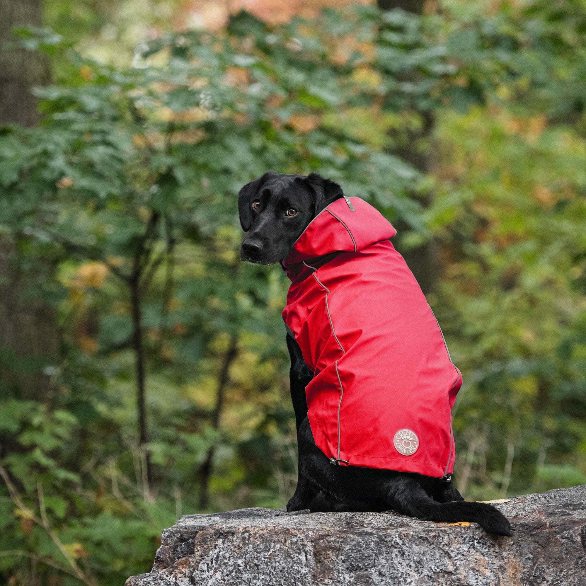 GF PET® Elasto-FIT® Reversible Waterproof Dog Raincoat – Red