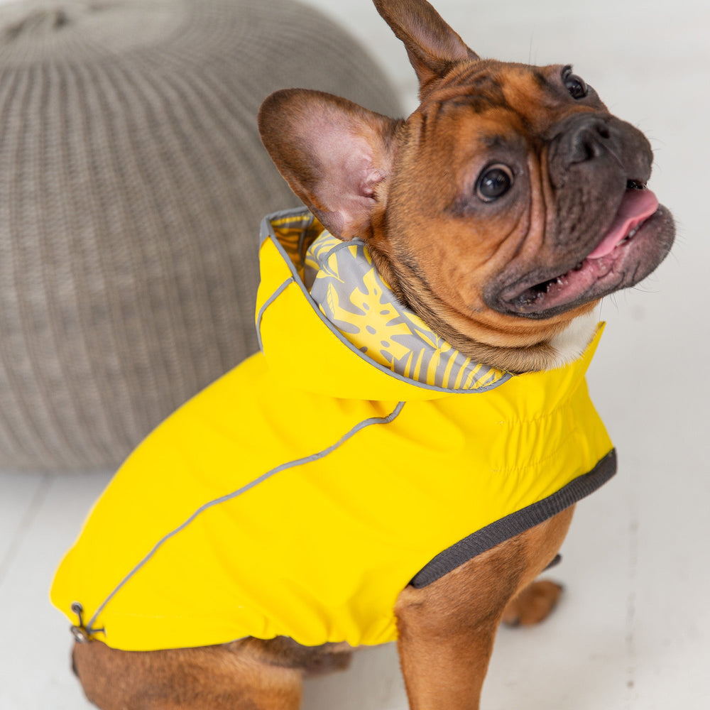 GF PET® Elasto-FIT® Reversible Waterproof Dog Raincoat - Yellow