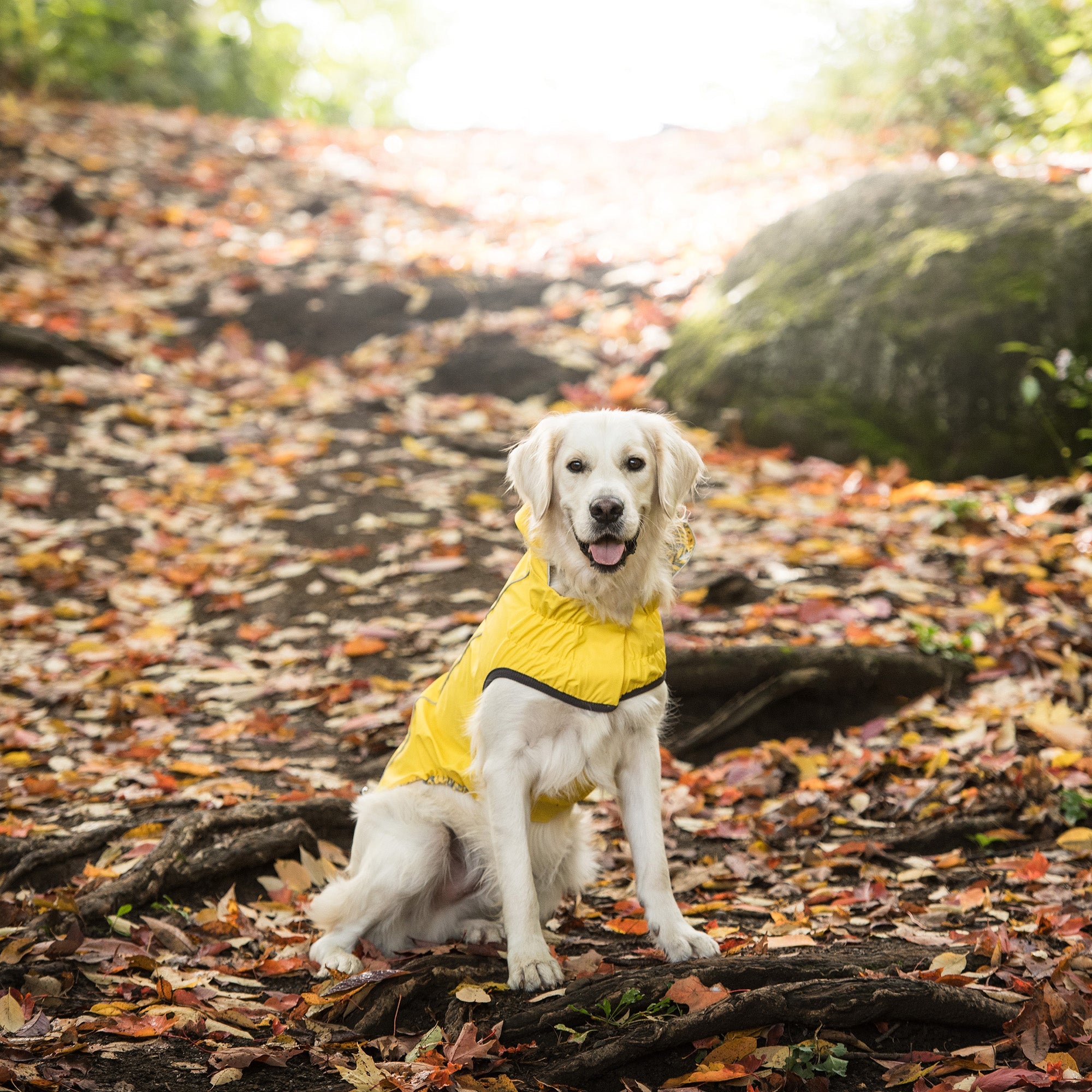 GF PET® Elasto-FIT® Reversible Waterproof Dog Raincoat - Yellow