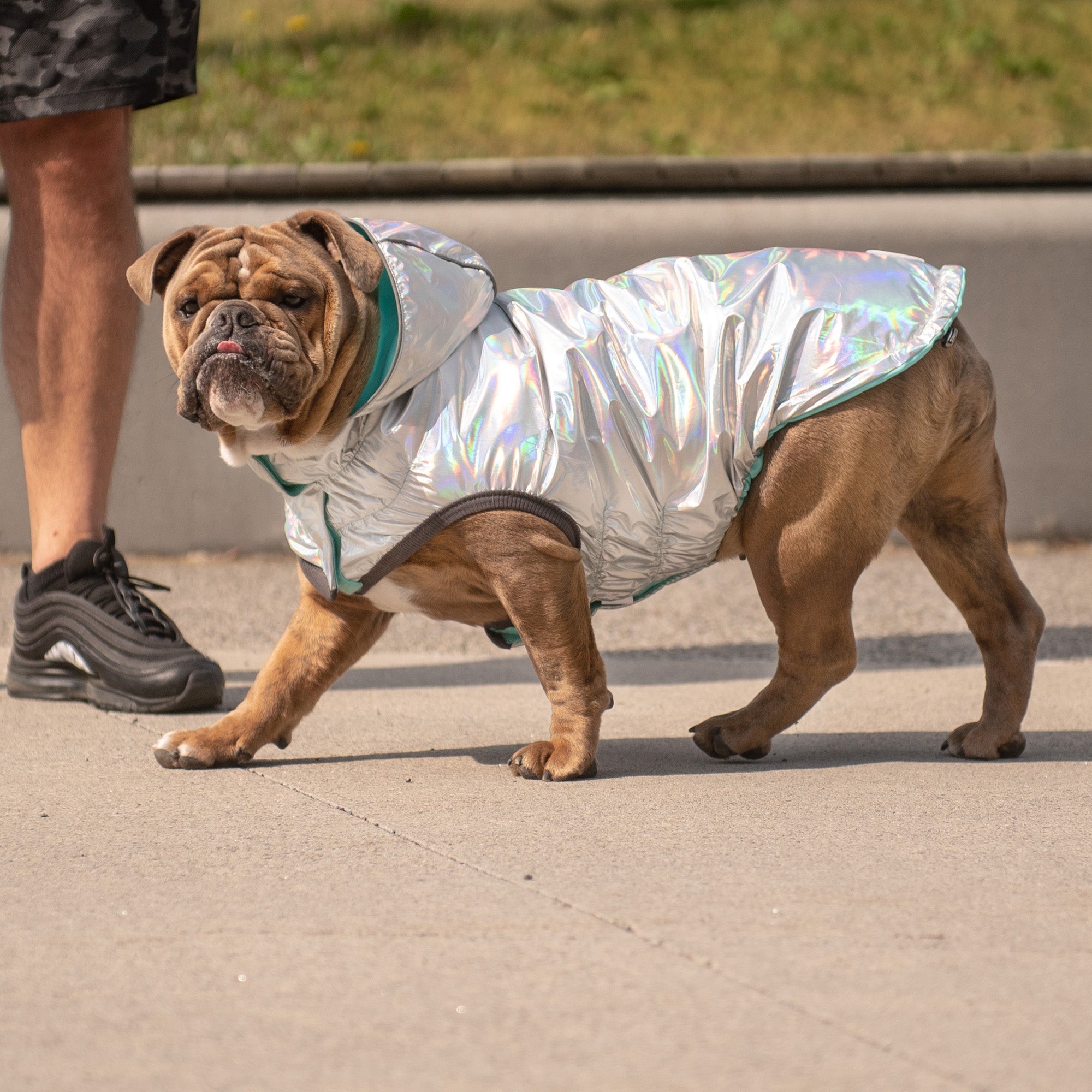 GF PET® Elasto-FIT® Reversible Waterproof Dog Raincoat - Neon Aqua with Iridescent