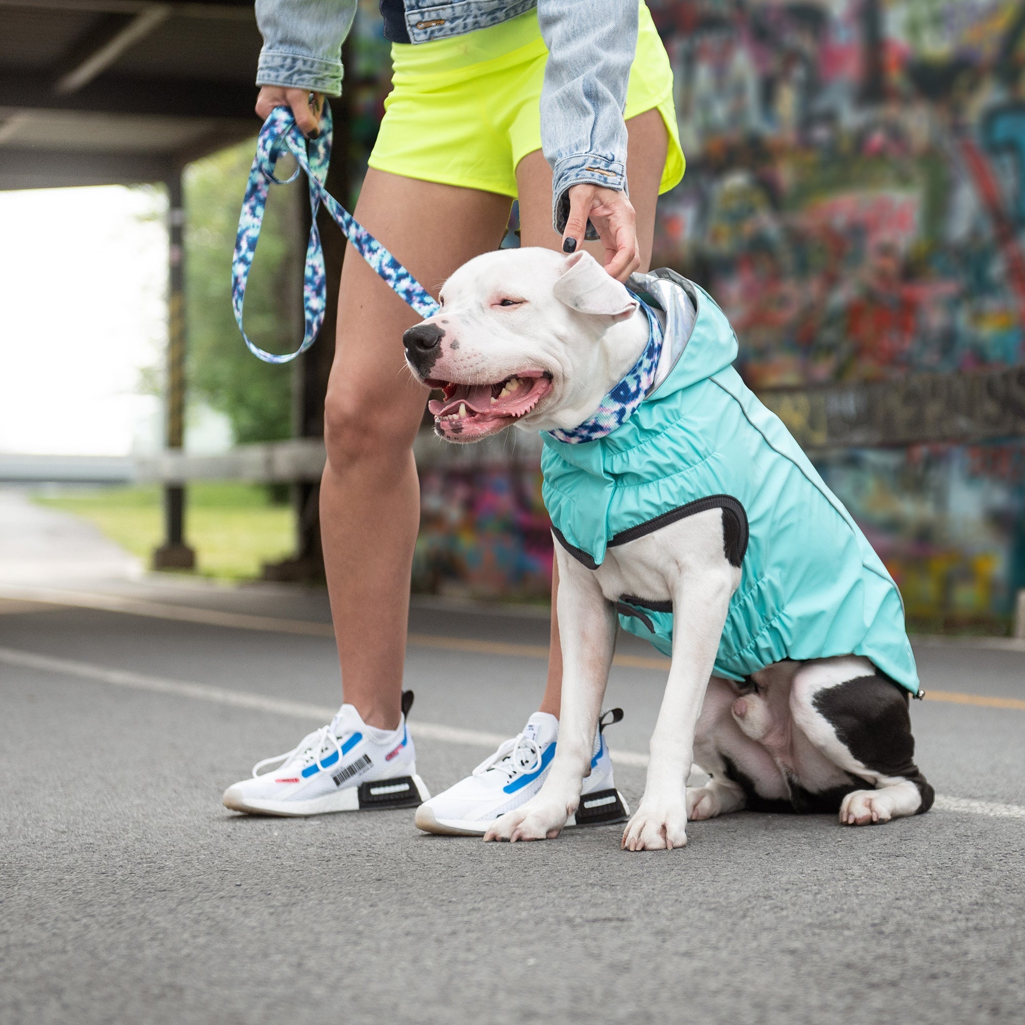 GF PET® Elasto-FIT® Reversible Waterproof Dog Raincoat - Neon Aqua with Iridescent
