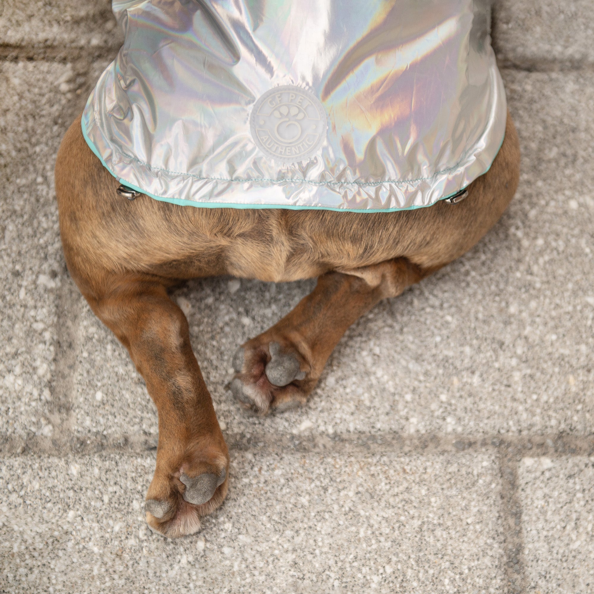 GF PET® Elasto-FIT® Reversible Waterproof Dog Raincoat - Neon Aqua with Iridescent
