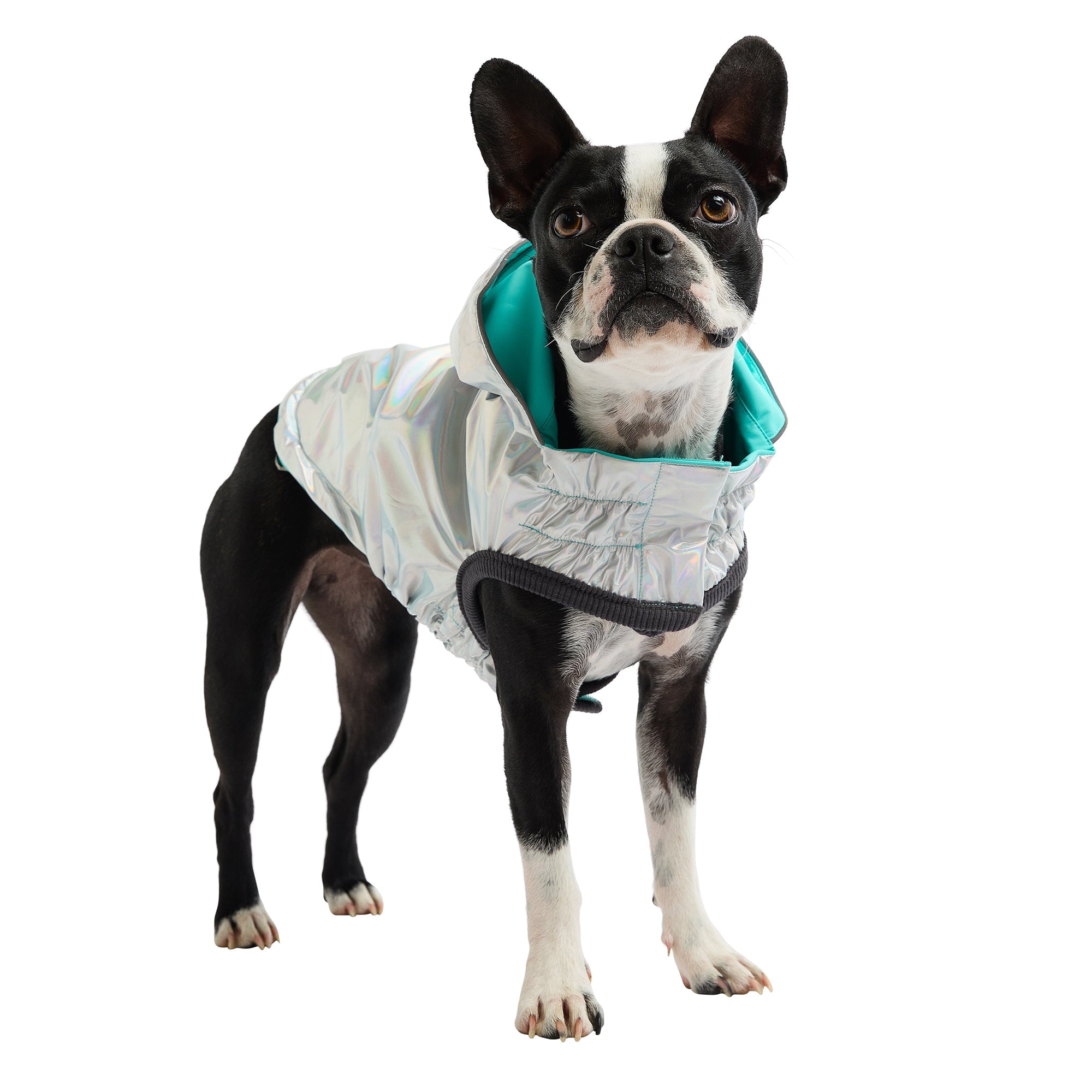 GF PET® Elasto-FIT® Reversible Waterproof Dog Raincoat - Neon Aqua with Iridescent