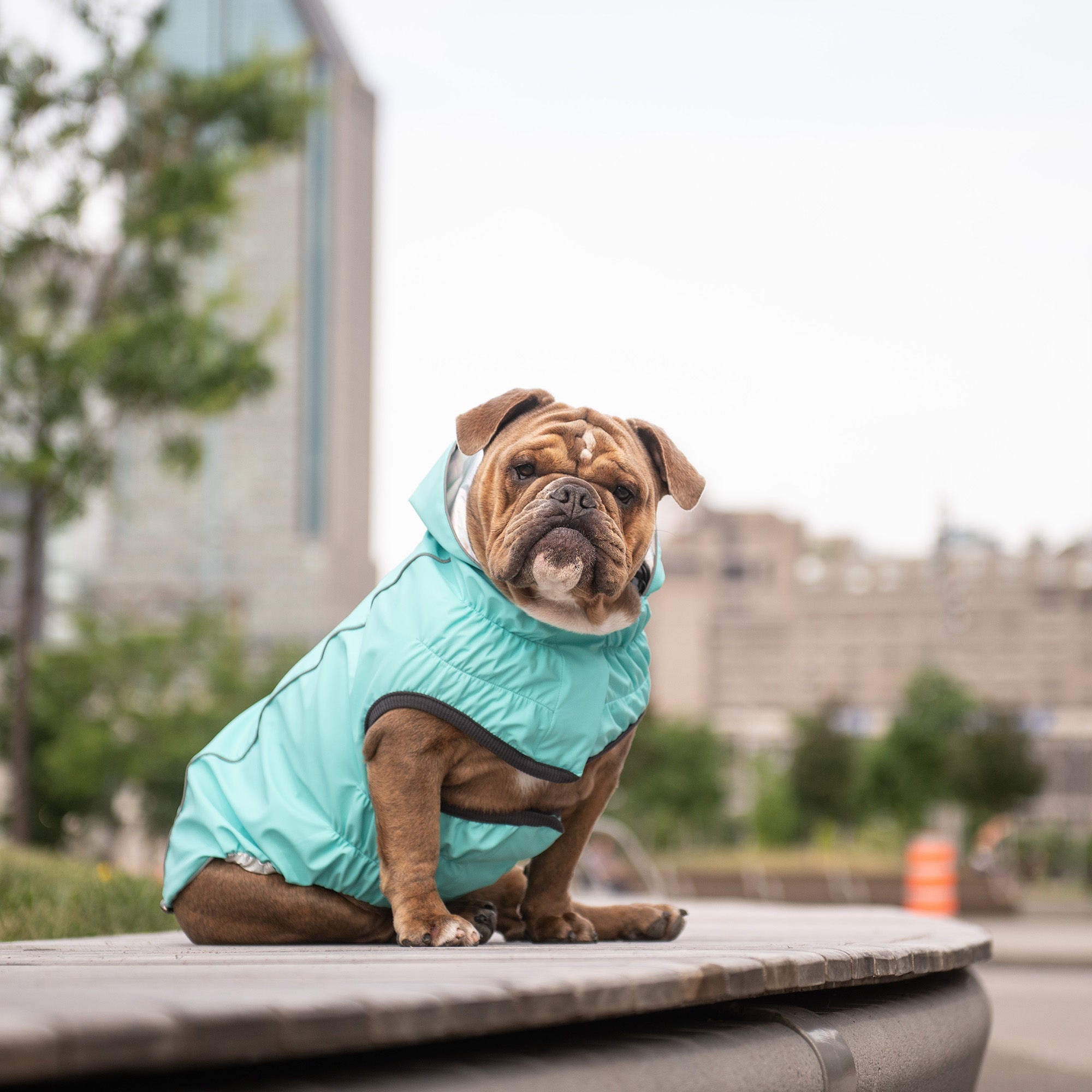 GF PET® Elasto-FIT® Reversible Waterproof Dog Raincoat - Neon Aqua with Iridescent