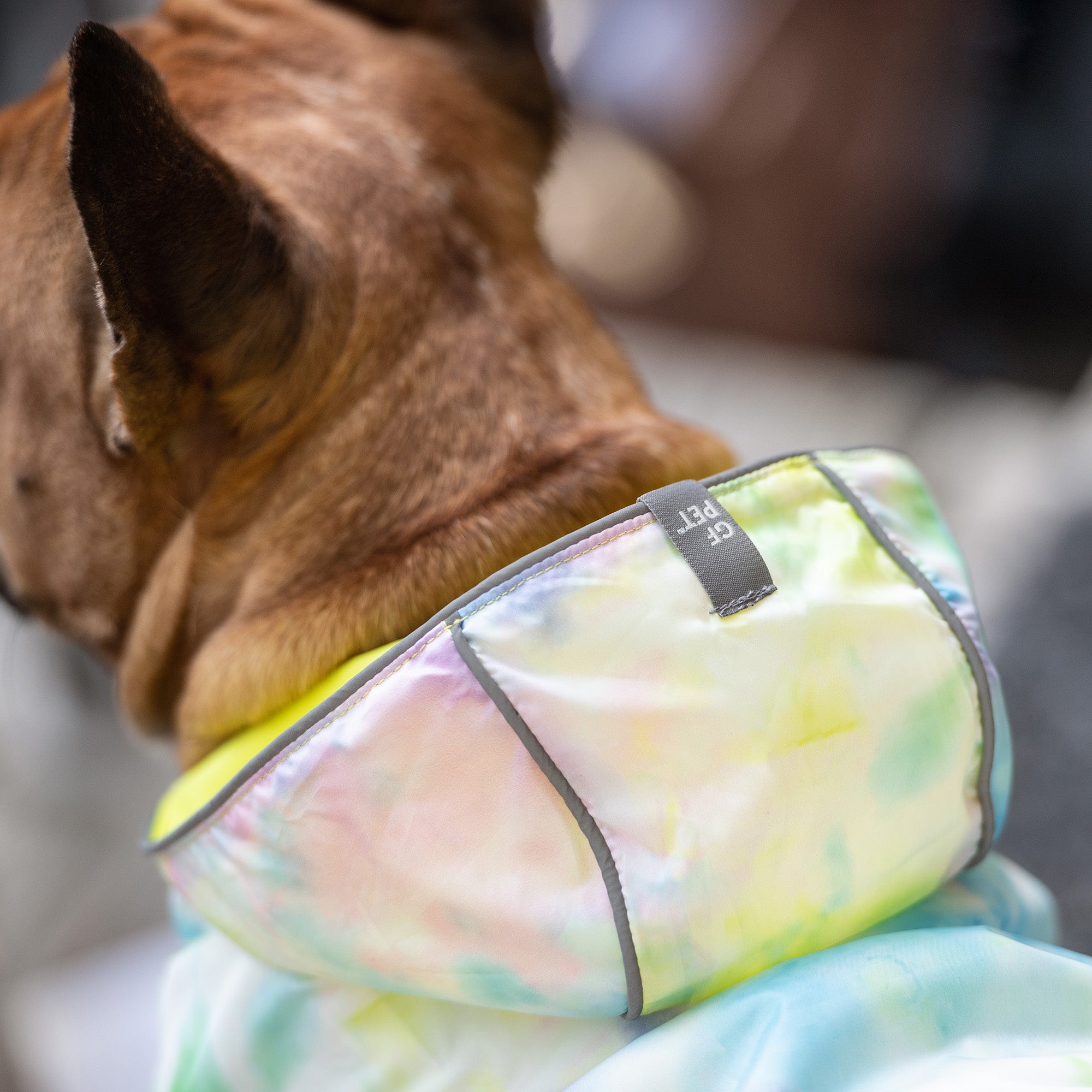 GF PET® Elasto-FIT® Reversible Waterproof Dog Raincoat – Neon Yellow with Tie Dye