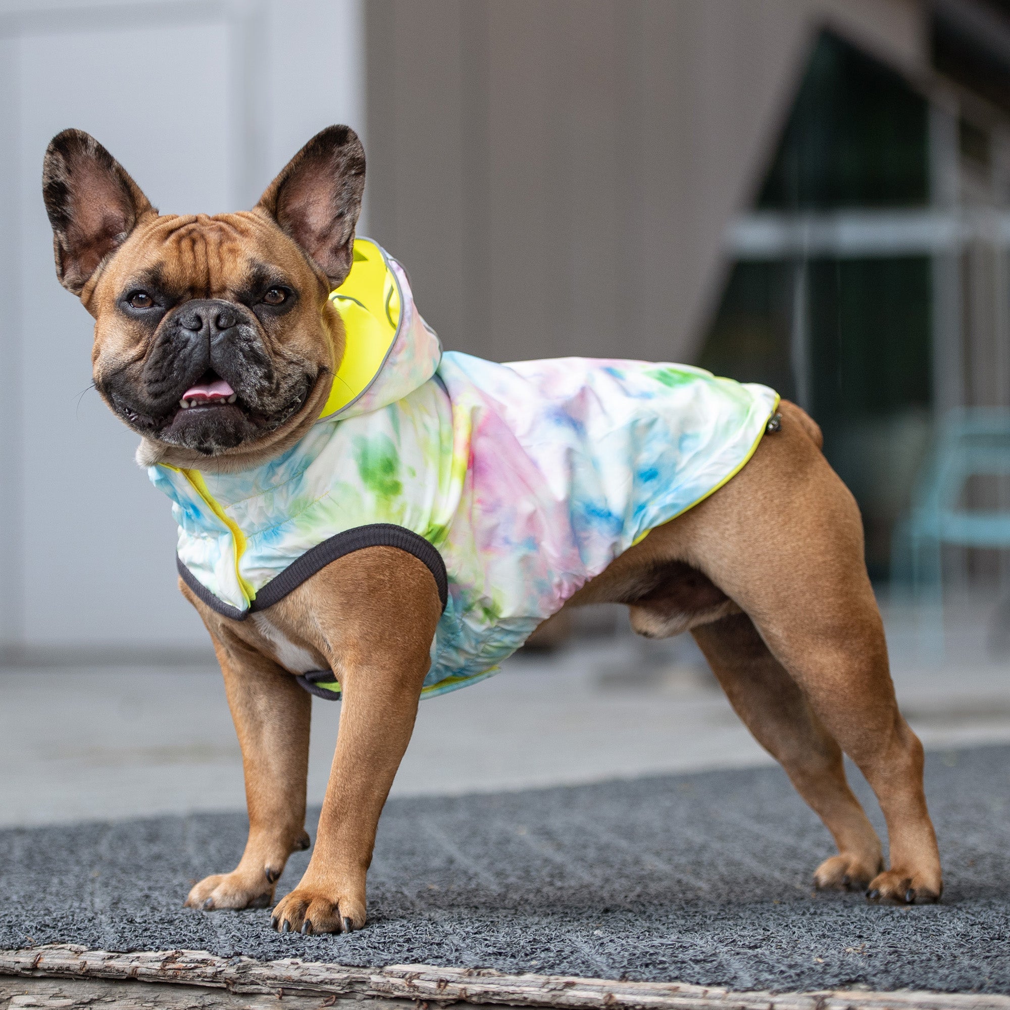 GF PET® Elasto-FIT® Reversible Waterproof Dog Raincoat – Neon Yellow with Tie Dye