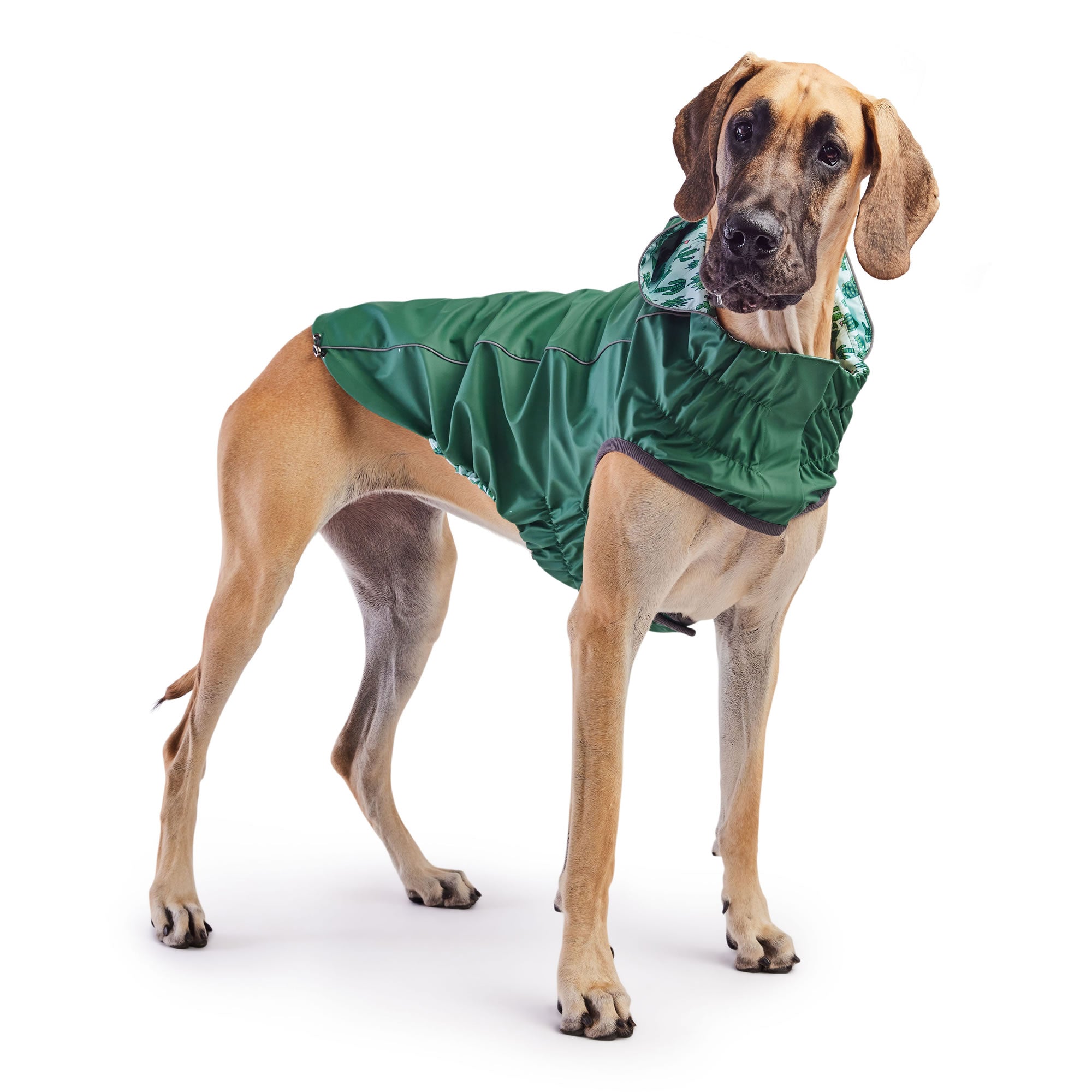 GF PET® Elasto-FIT® Reversible Waterproof Dog Raincoat - Green/Green