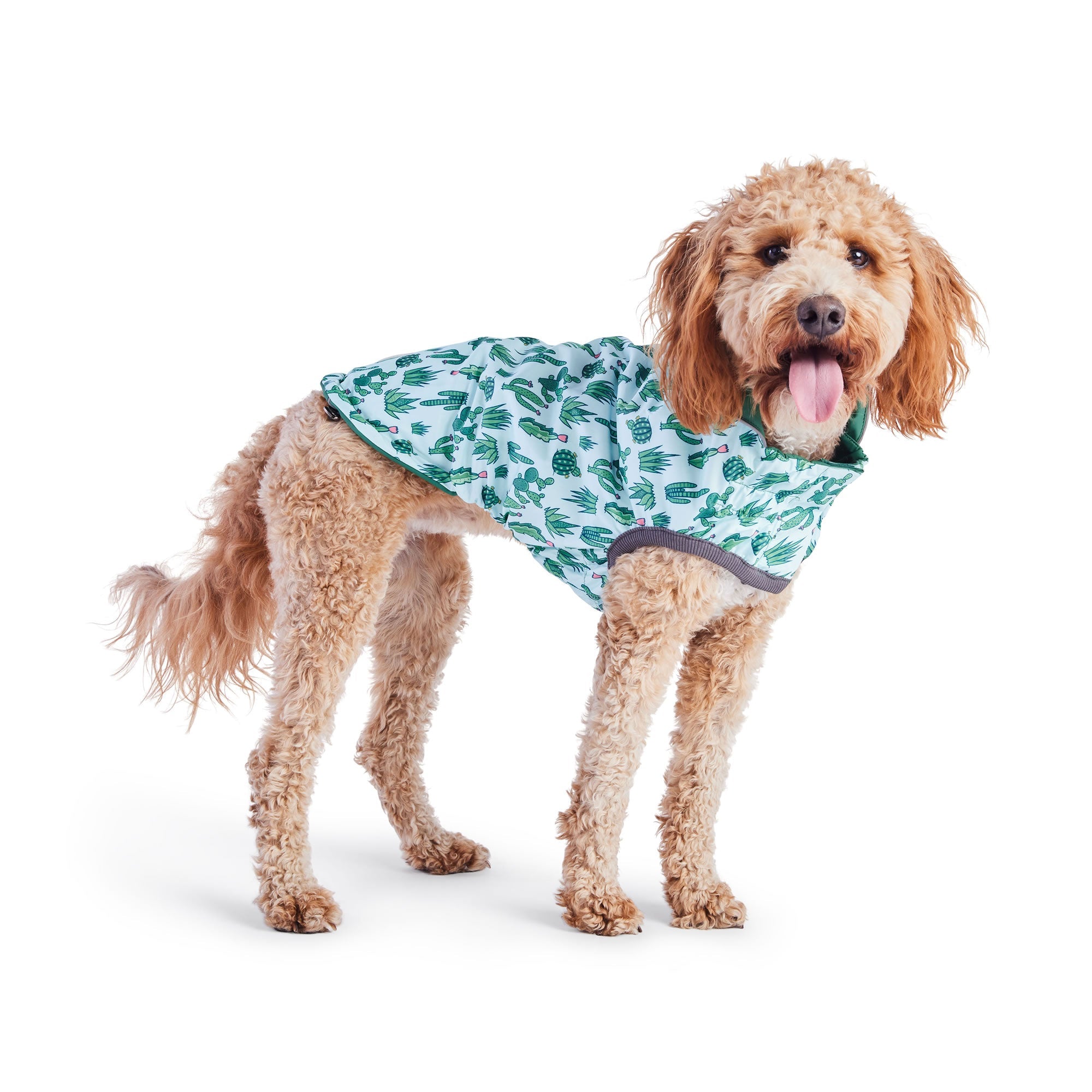GF PET® Elasto-FIT® Reversible Waterproof Dog Raincoat - Green/Green