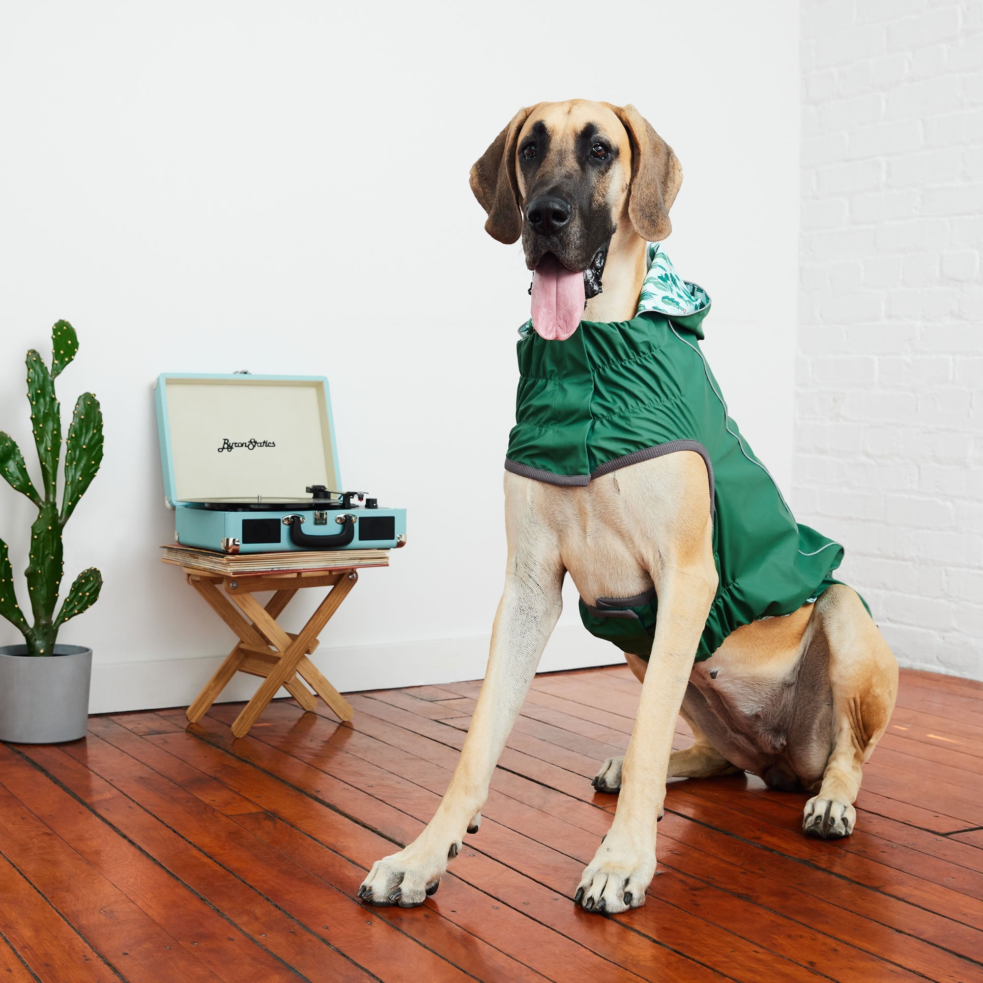 GF PET® Elasto-FIT® Reversible Waterproof Dog Raincoat - Green/Green