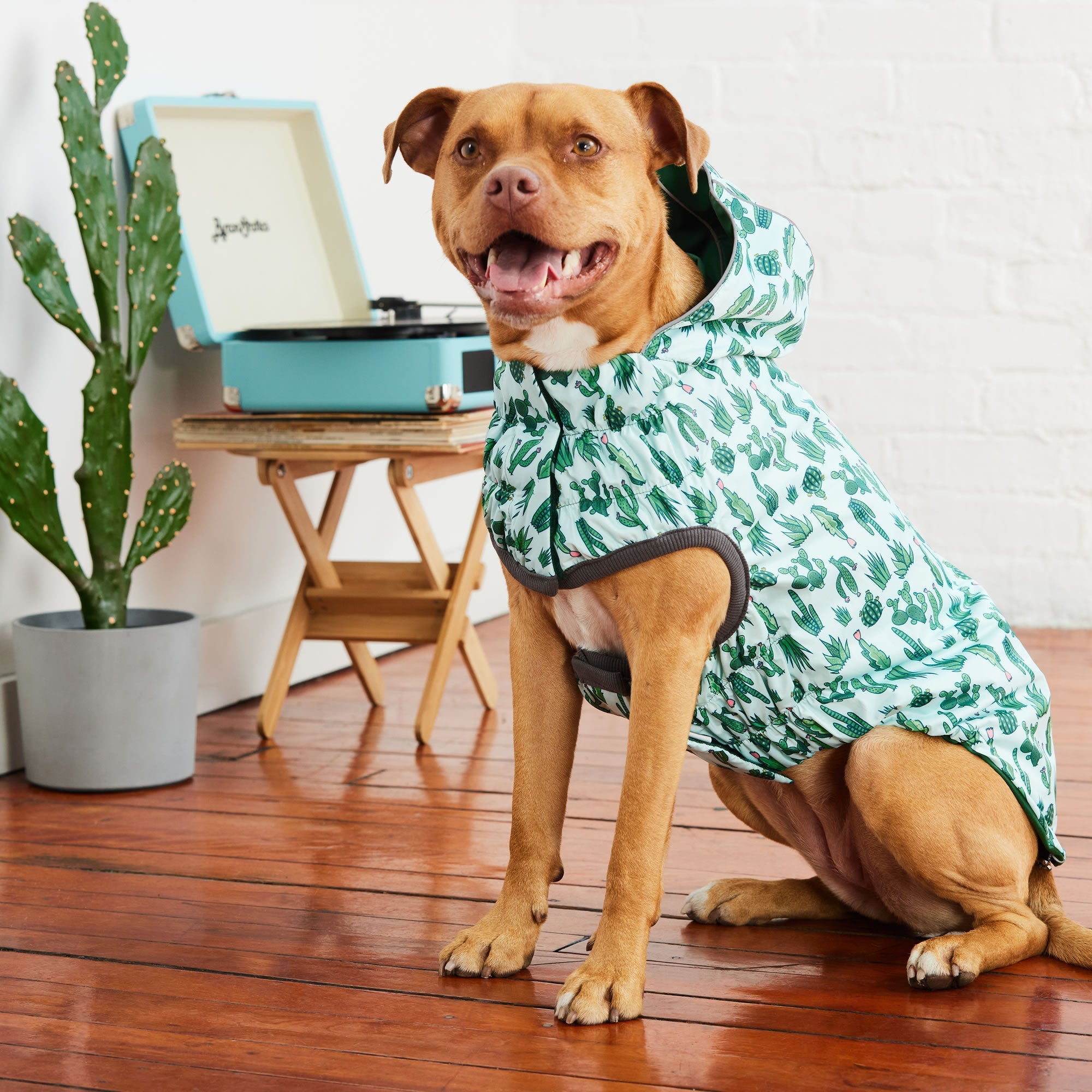 GF PET® Elasto-FIT® Reversible Waterproof Dog Raincoat - Green/Green