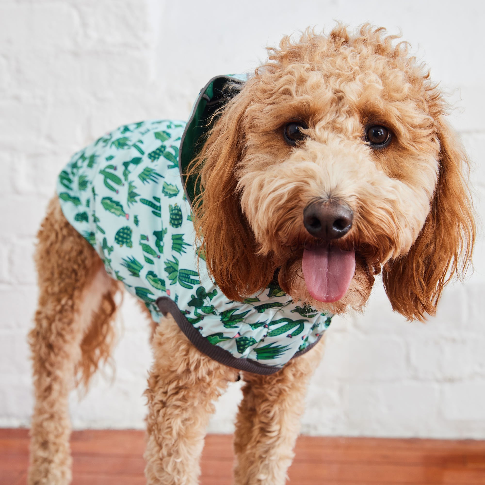 GF PET® Elasto-FIT® Reversible Waterproof Dog Raincoat - Green/Green