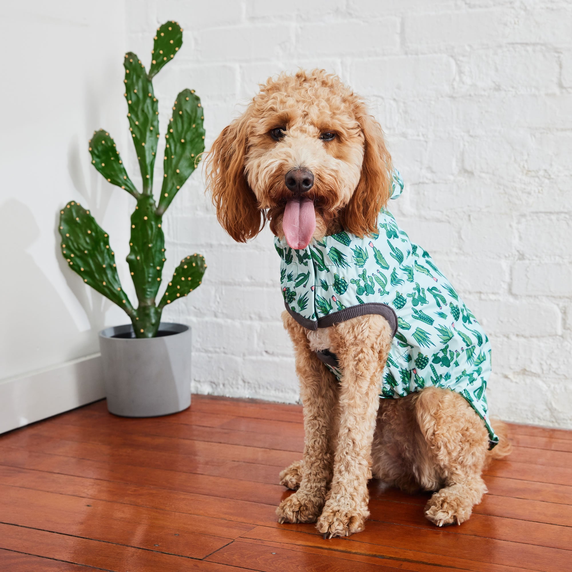 GF PET® Elasto-FIT® Reversible Waterproof Dog Raincoat - Green/Green